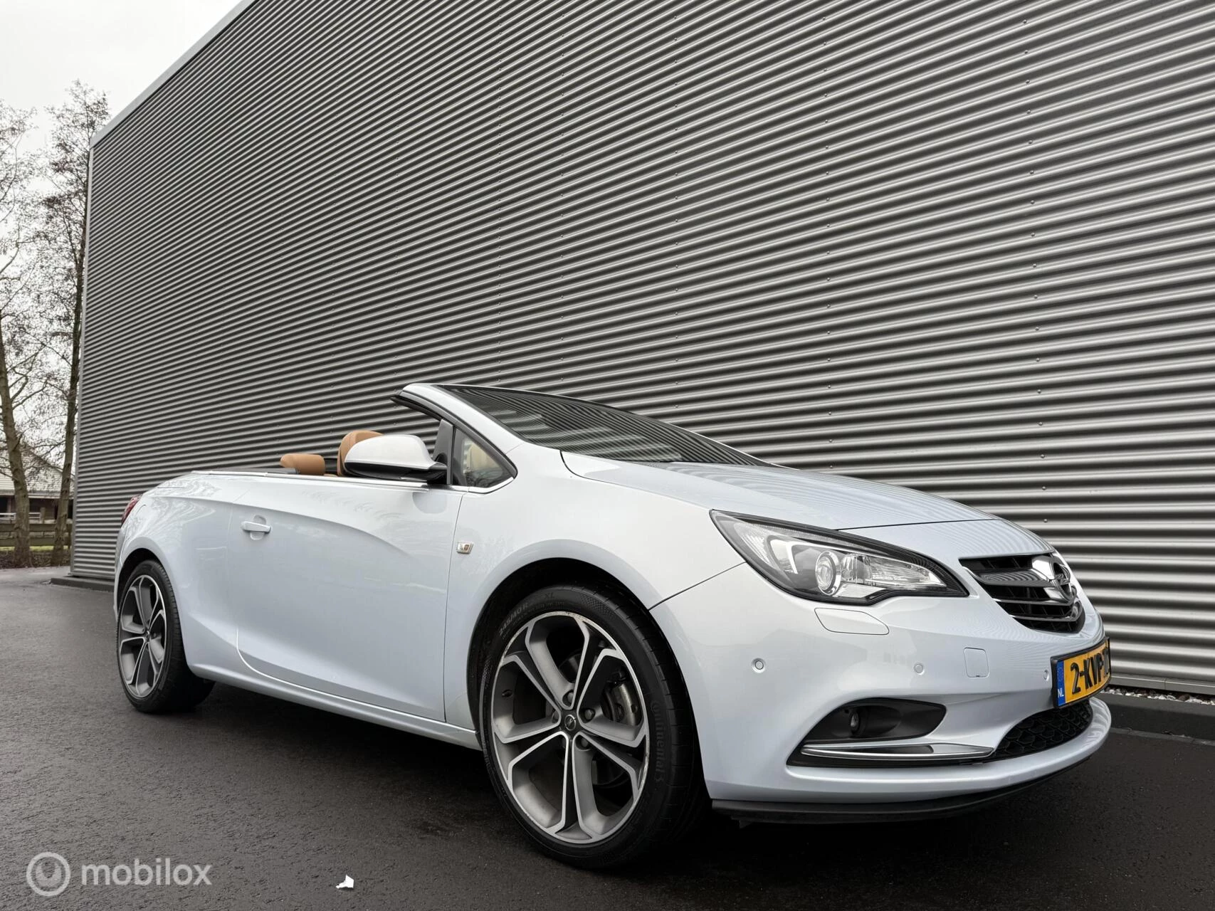 Hoofdafbeelding Opel Cascada