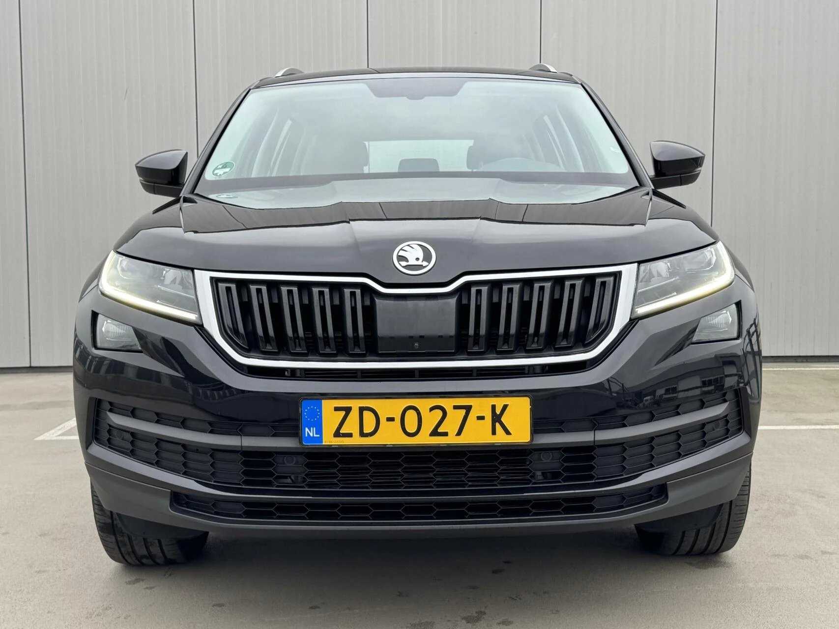 Hoofdafbeelding Škoda Kodiaq