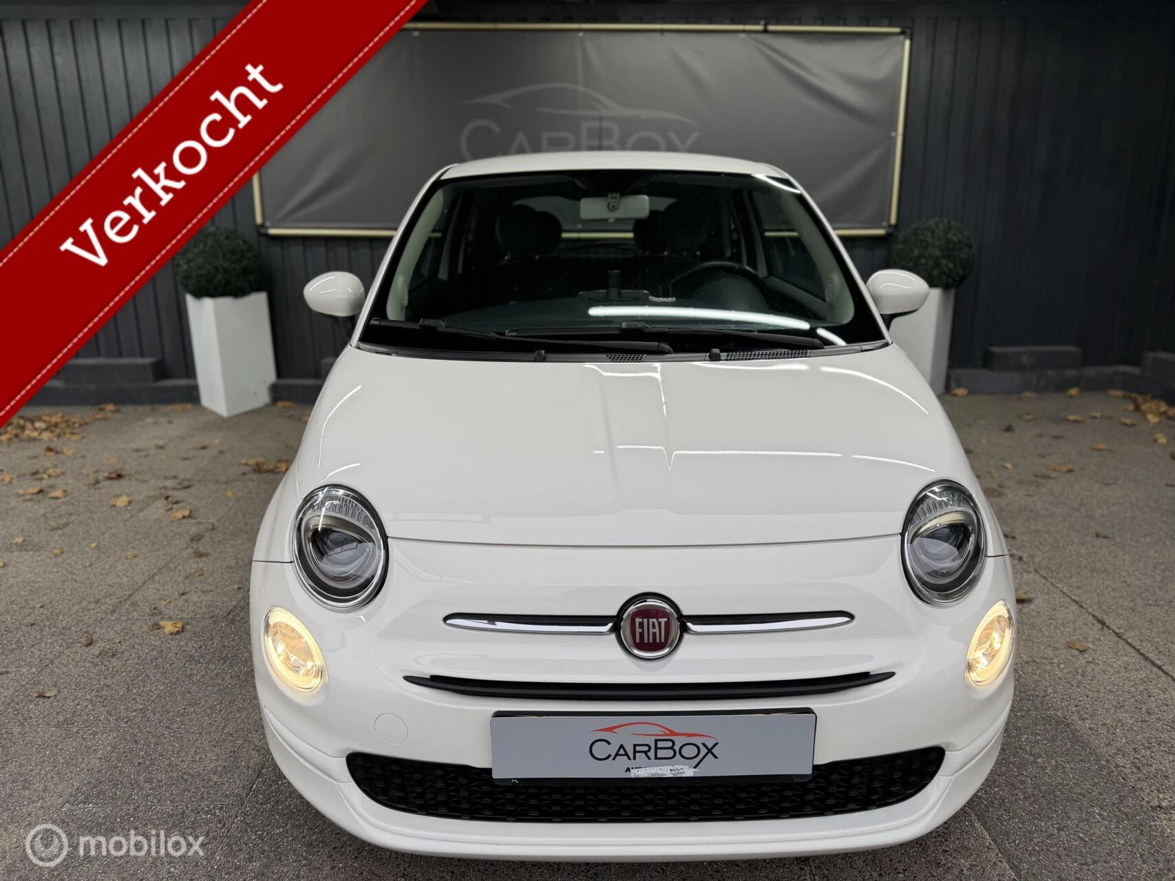 Hoofdafbeelding Fiat 500