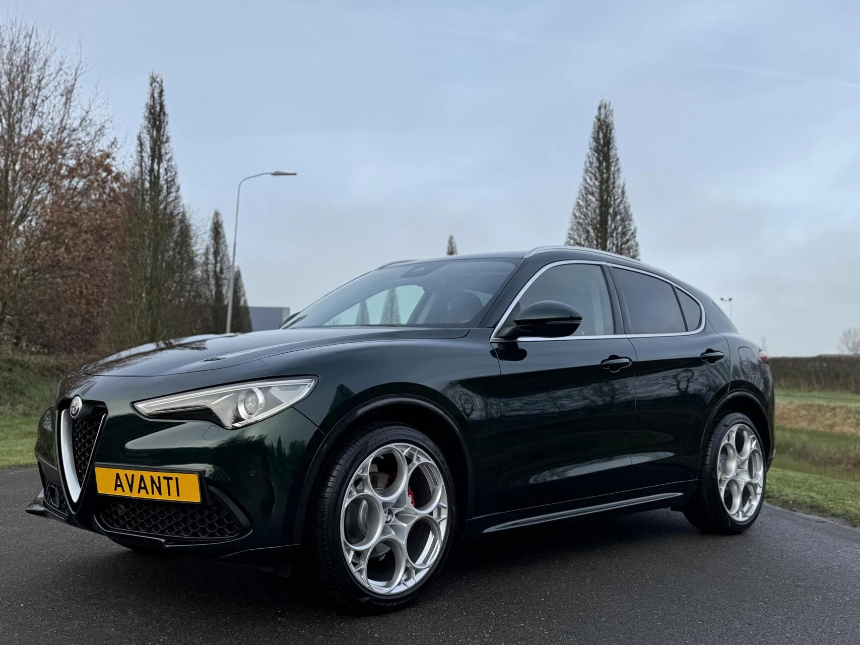 Hoofdafbeelding Alfa Romeo Stelvio