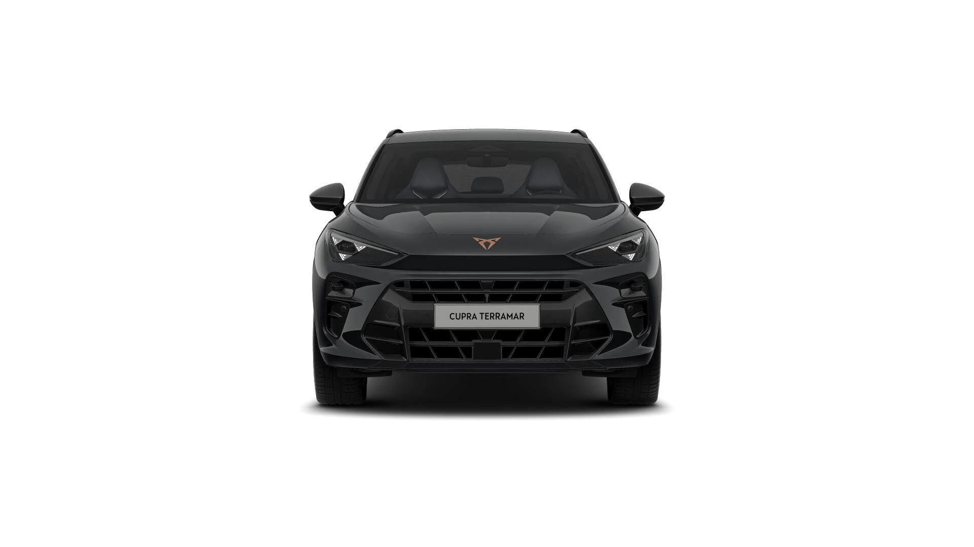Hoofdafbeelding CUPRA Terramar