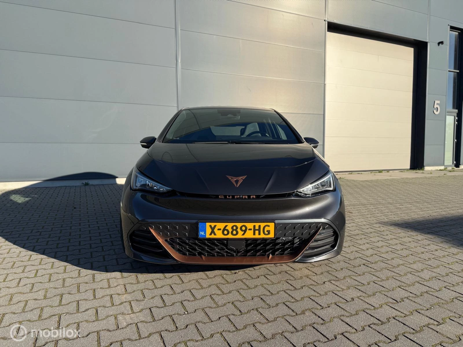 Hoofdafbeelding CUPRA Born