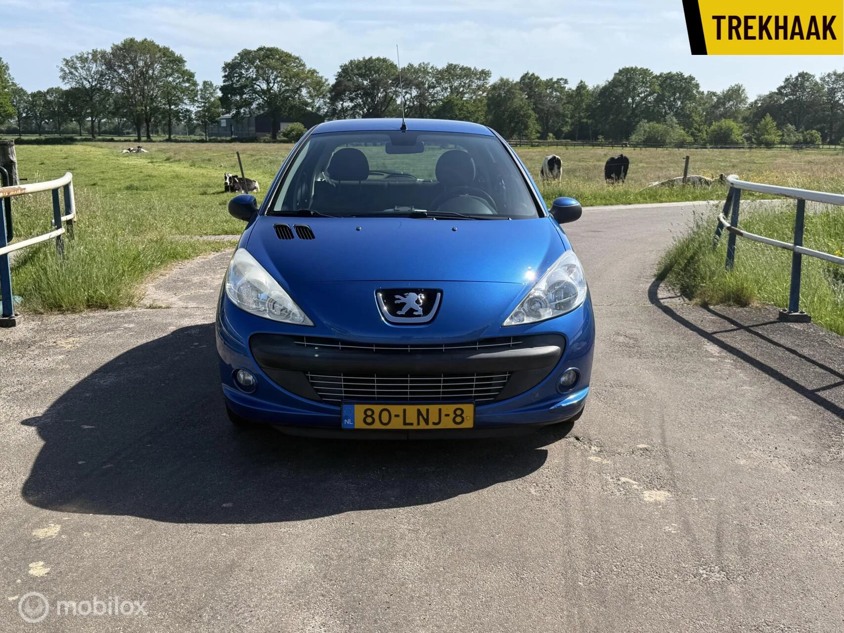 Hoofdafbeelding Peugeot 206