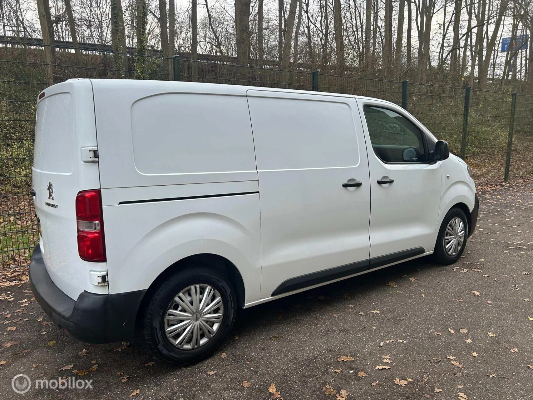 Hoofdafbeelding Peugeot Expert