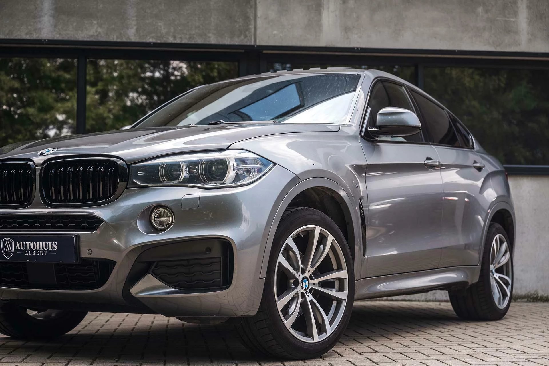 Hoofdafbeelding BMW X6