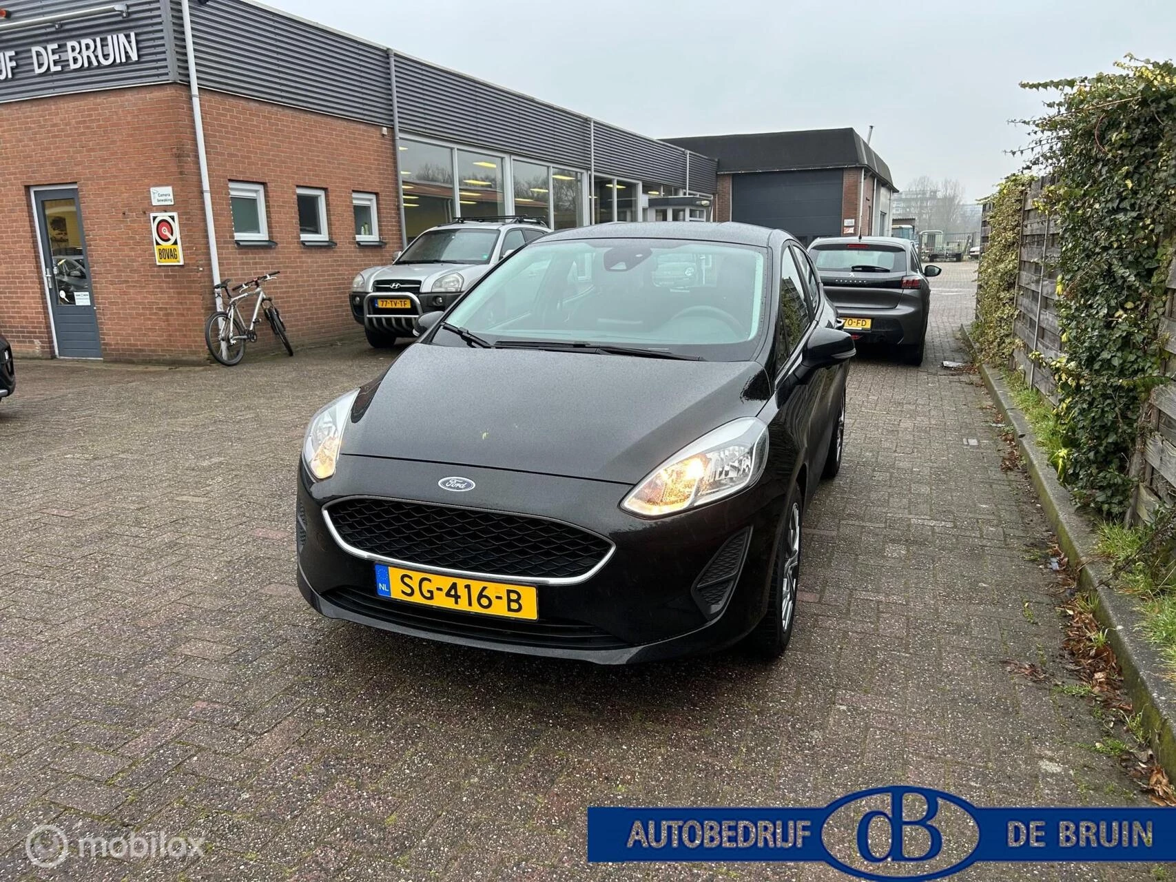 Hoofdafbeelding Ford Fiesta
