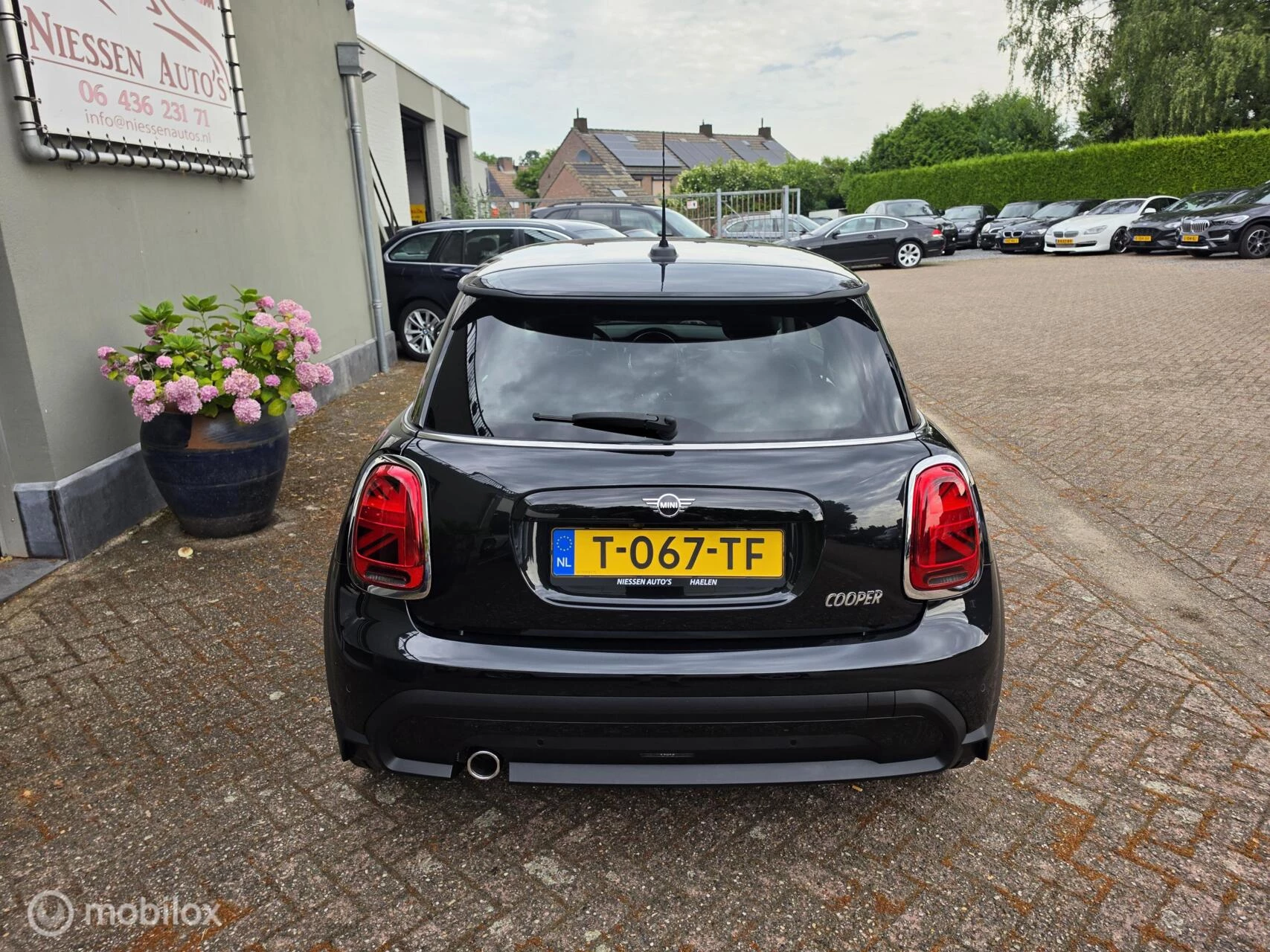 Hoofdafbeelding MINI Cooper