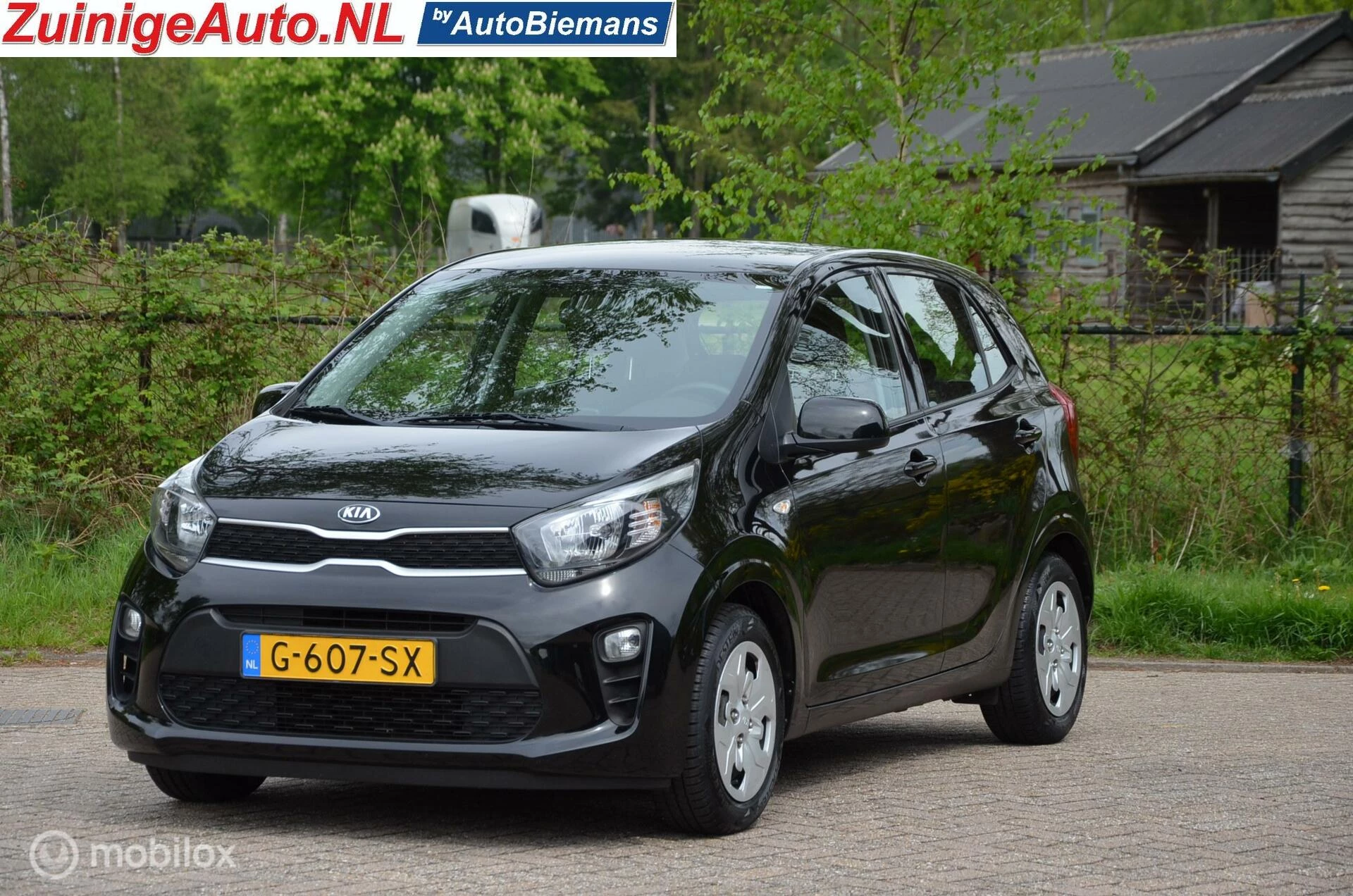 Hoofdafbeelding Kia Picanto