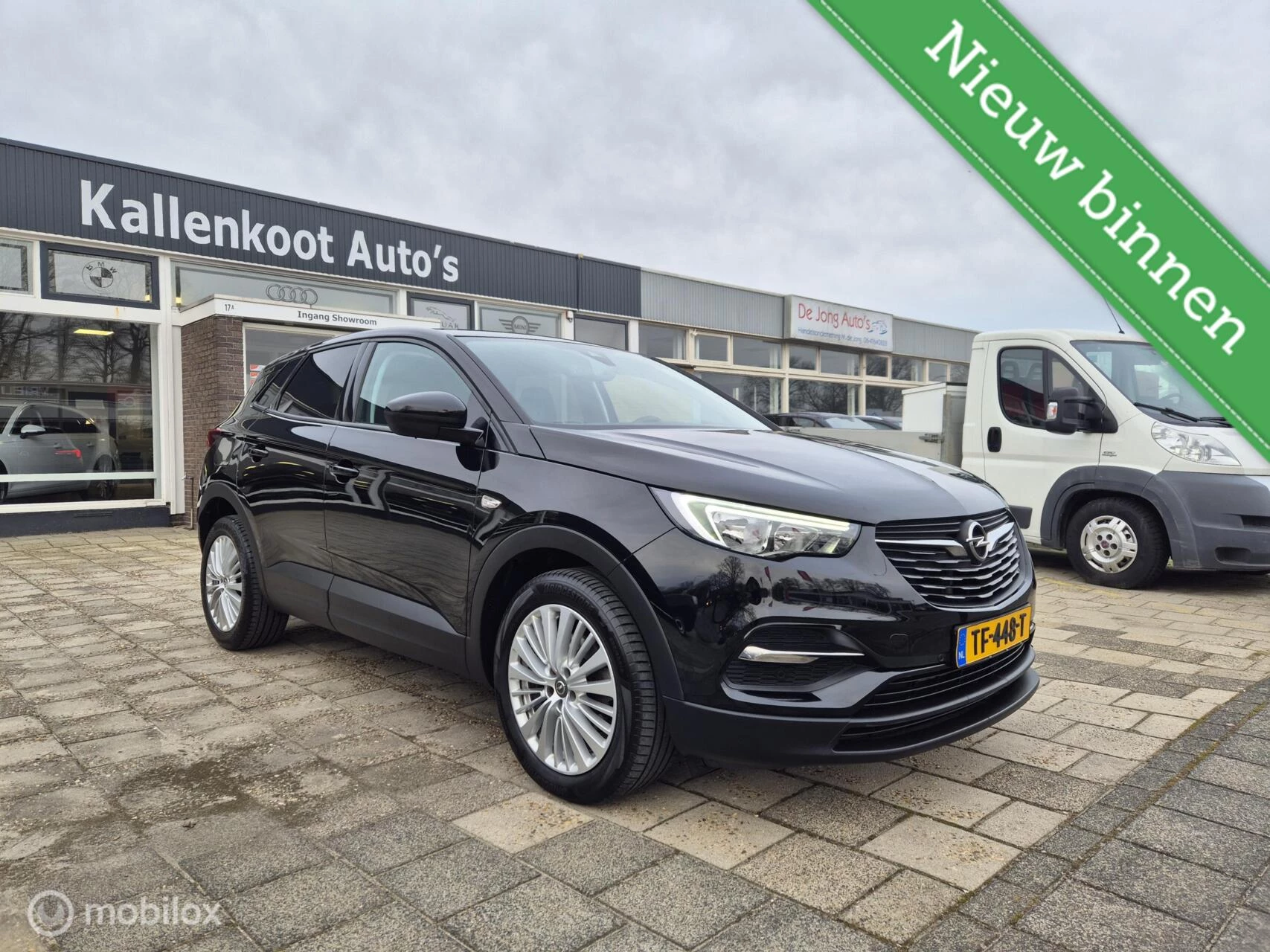 Hoofdafbeelding Opel Grandland X