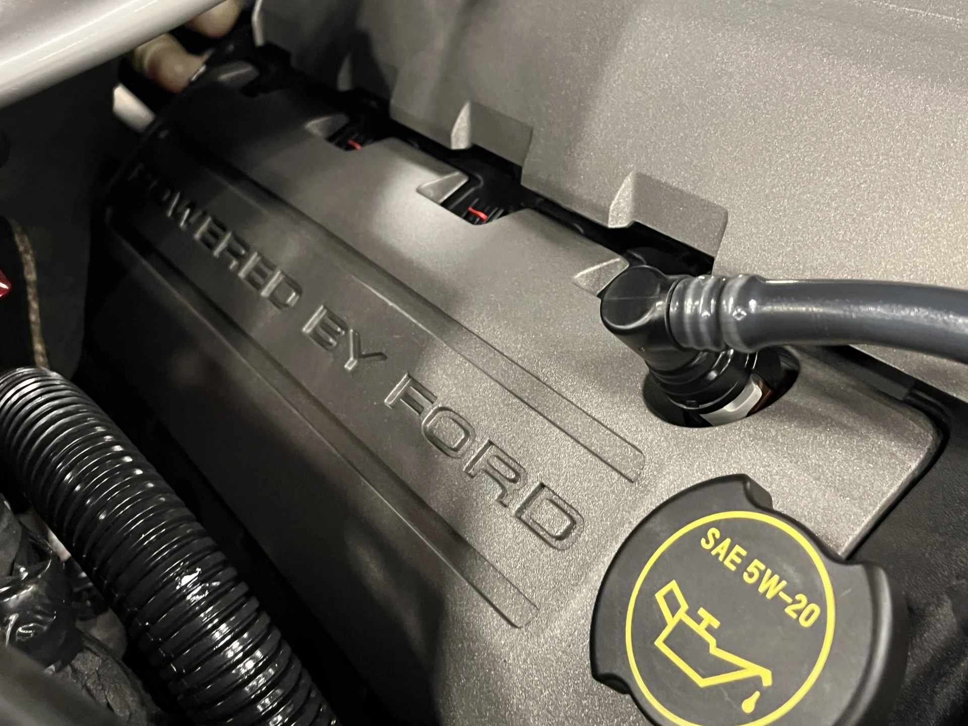 Hoofdafbeelding Ford Mustang