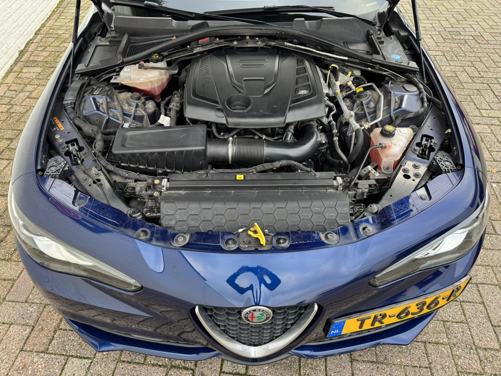 Hoofdafbeelding Alfa Romeo Giulia