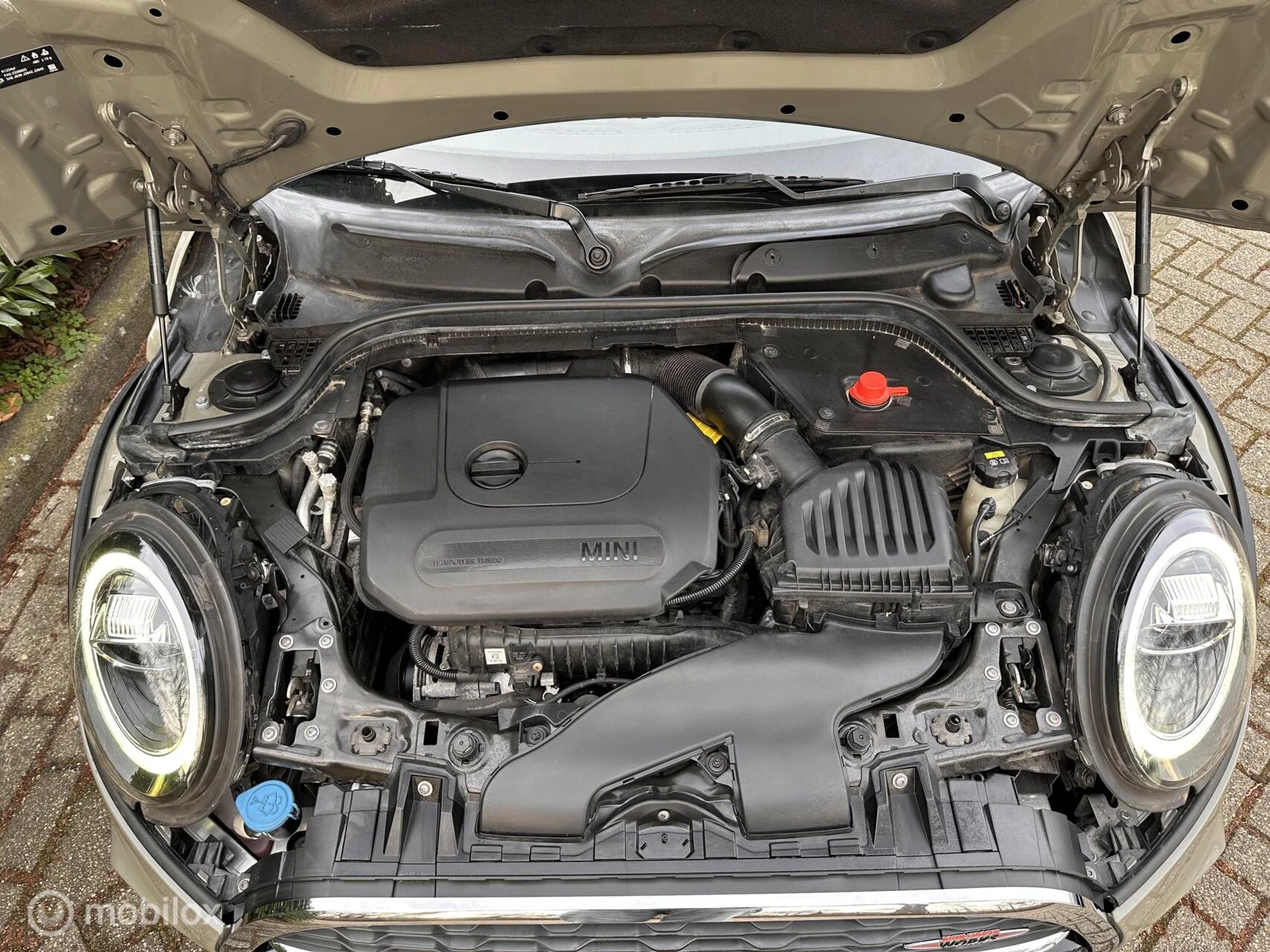 Hoofdafbeelding MINI Cooper