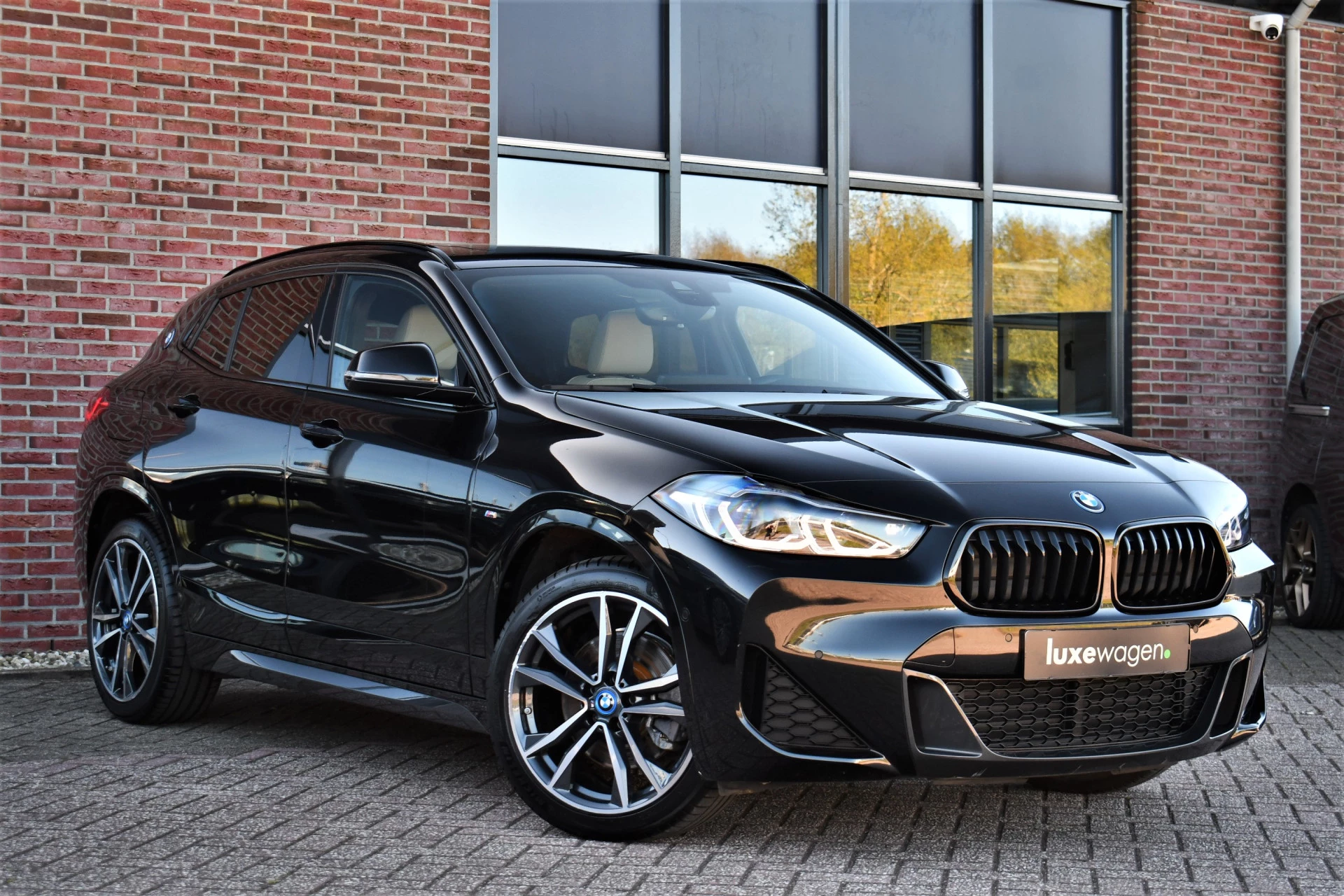Hoofdafbeelding BMW X2