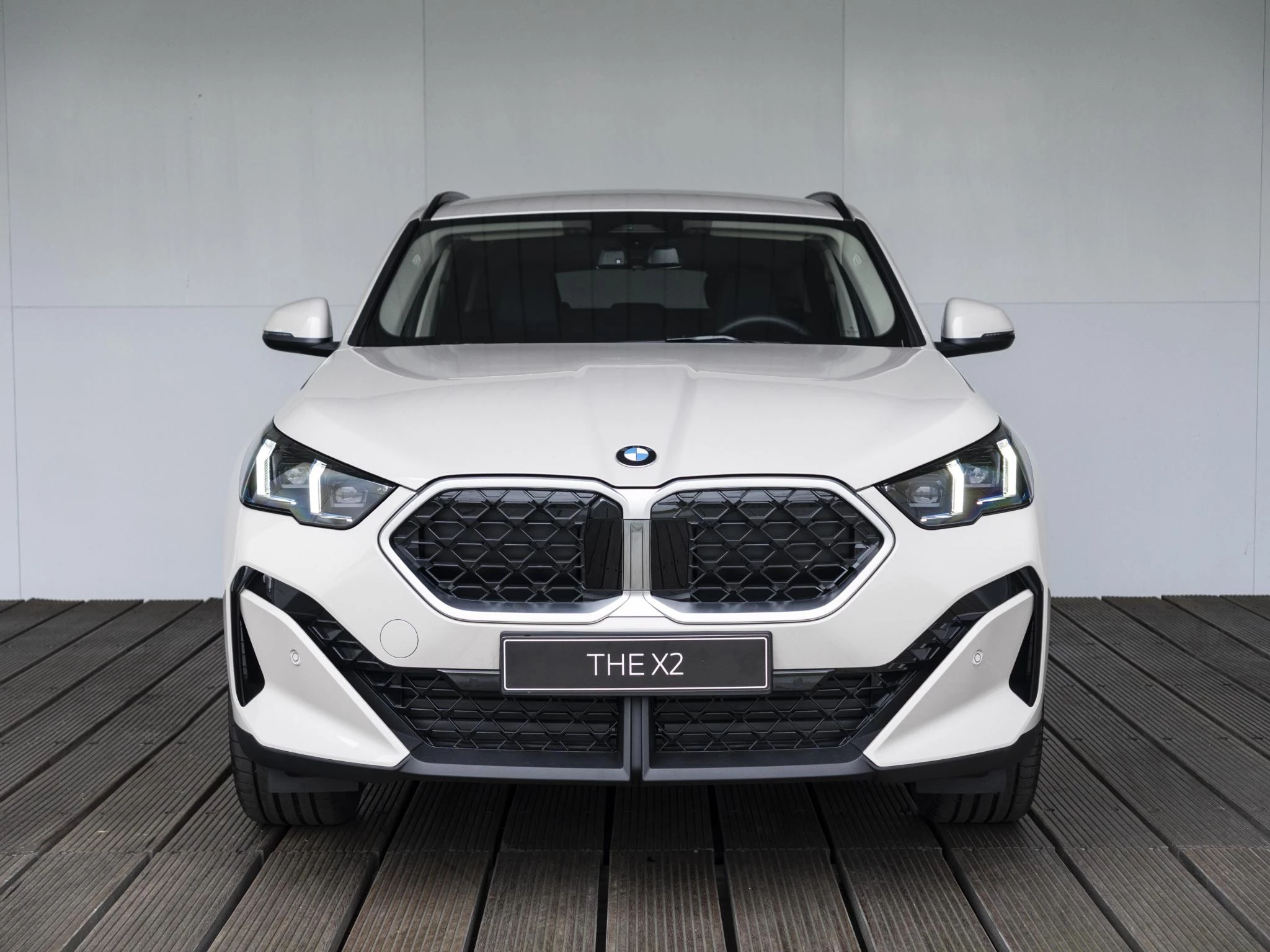 Hoofdafbeelding BMW X2