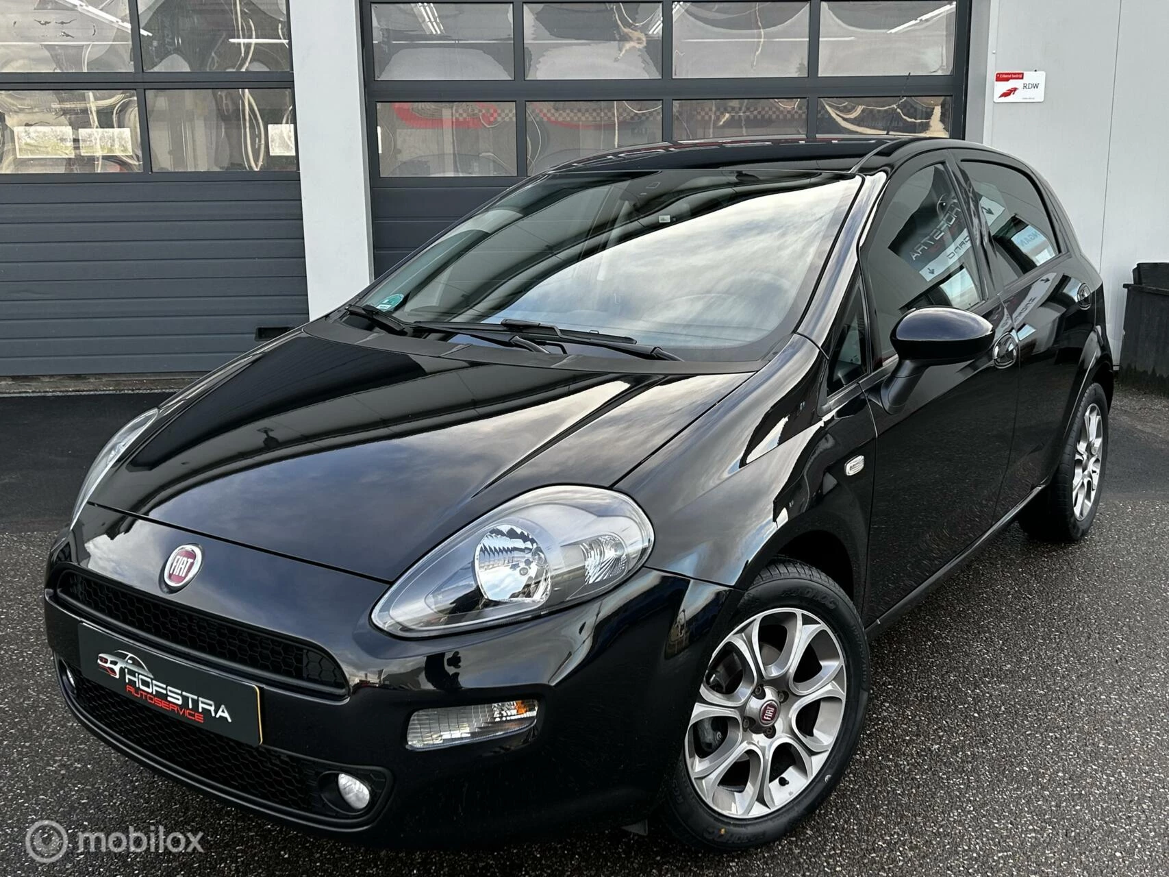 Hoofdafbeelding Fiat Punto