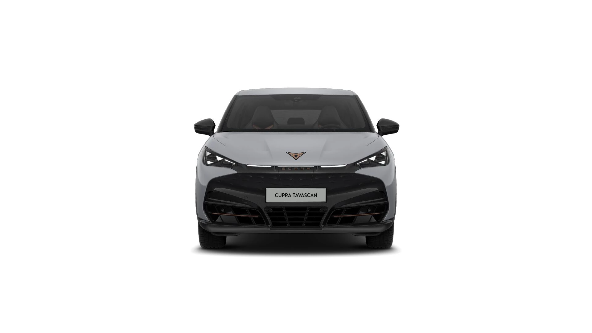 Hoofdafbeelding CUPRA Tavascan