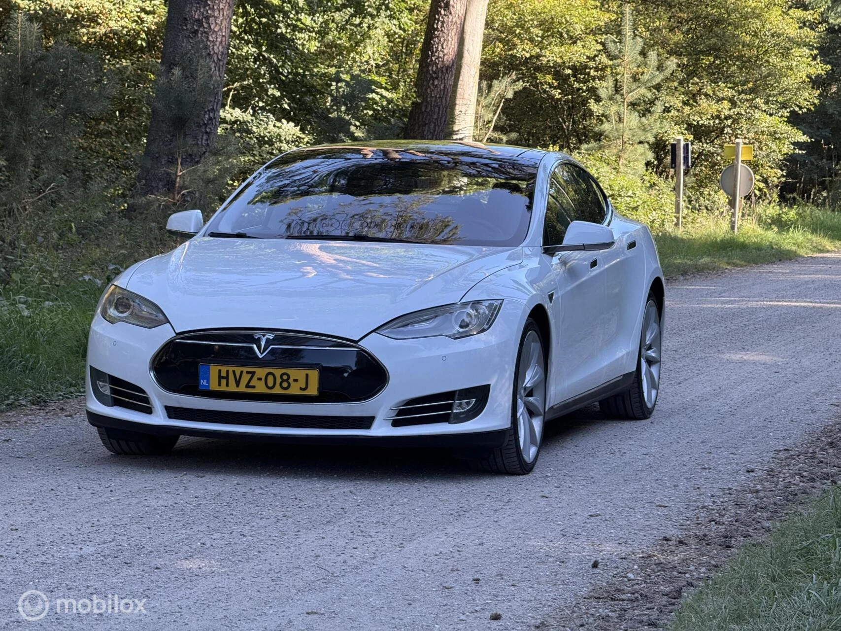 Hoofdafbeelding Tesla Model S