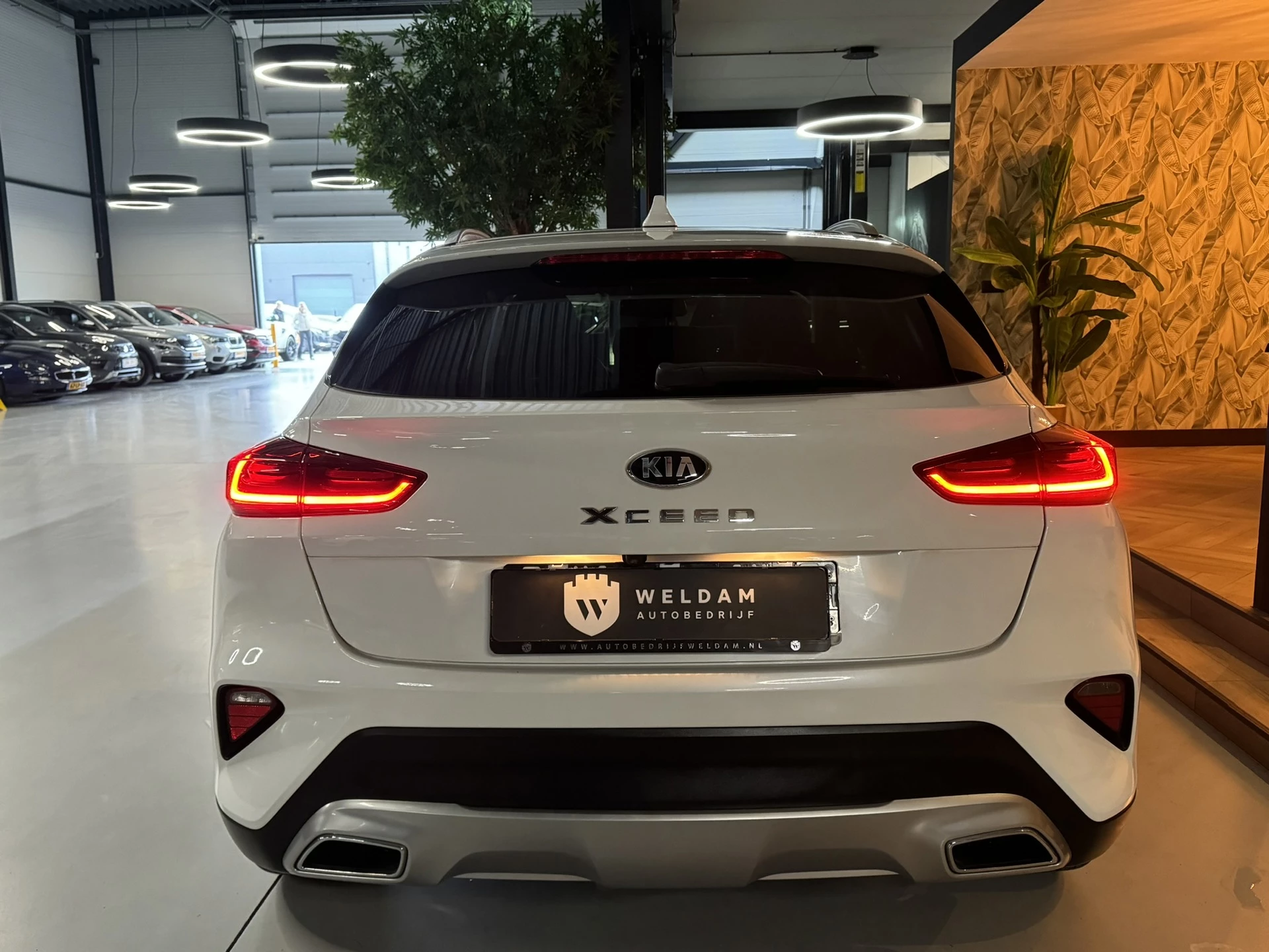Hoofdafbeelding Kia XCeed