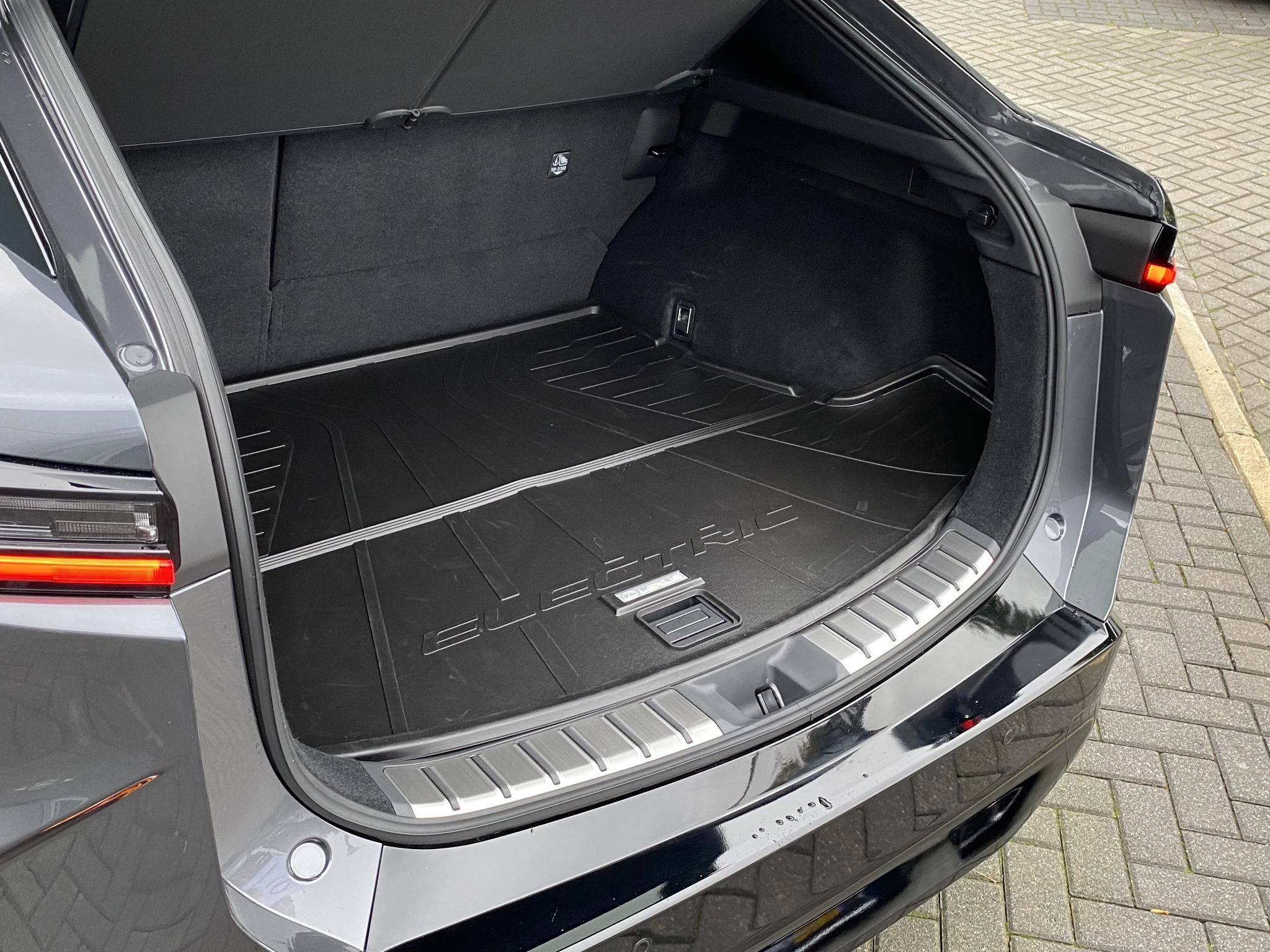 Hoofdafbeelding Lexus RZ
