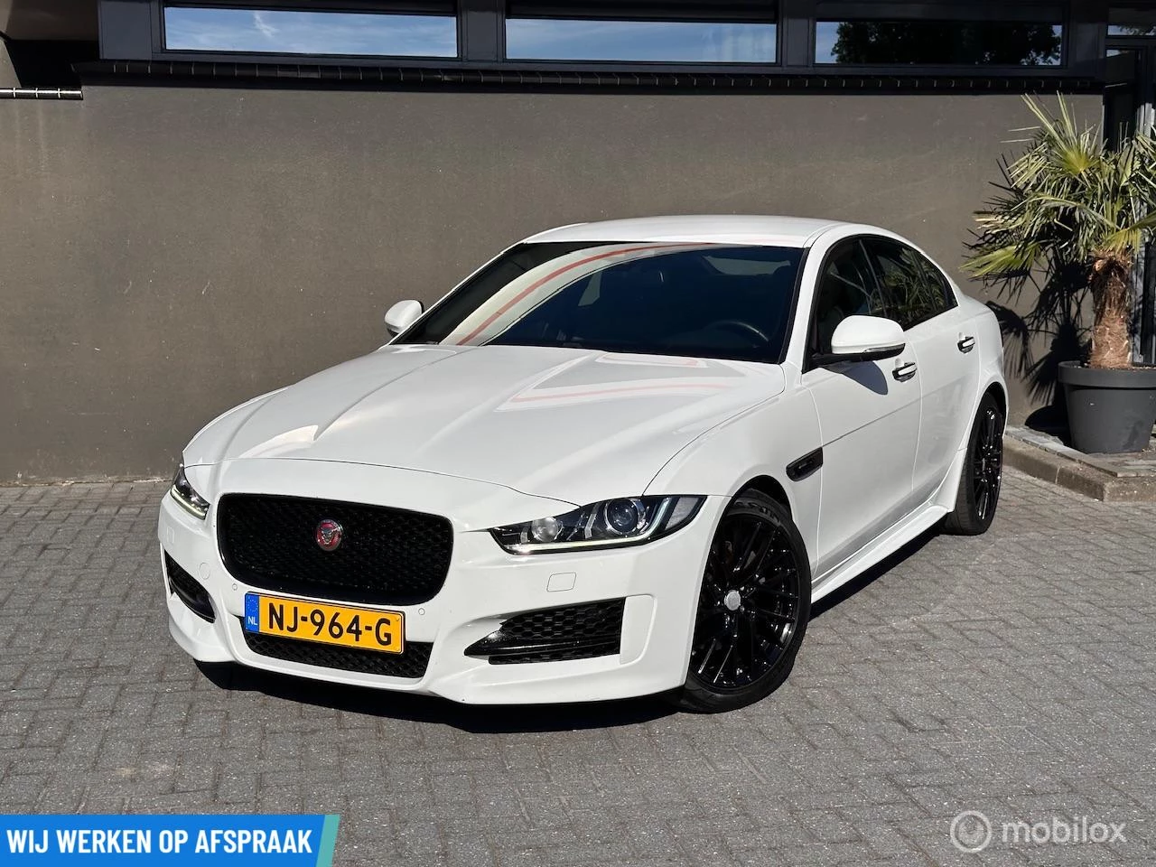 Hoofdafbeelding Jaguar XE
