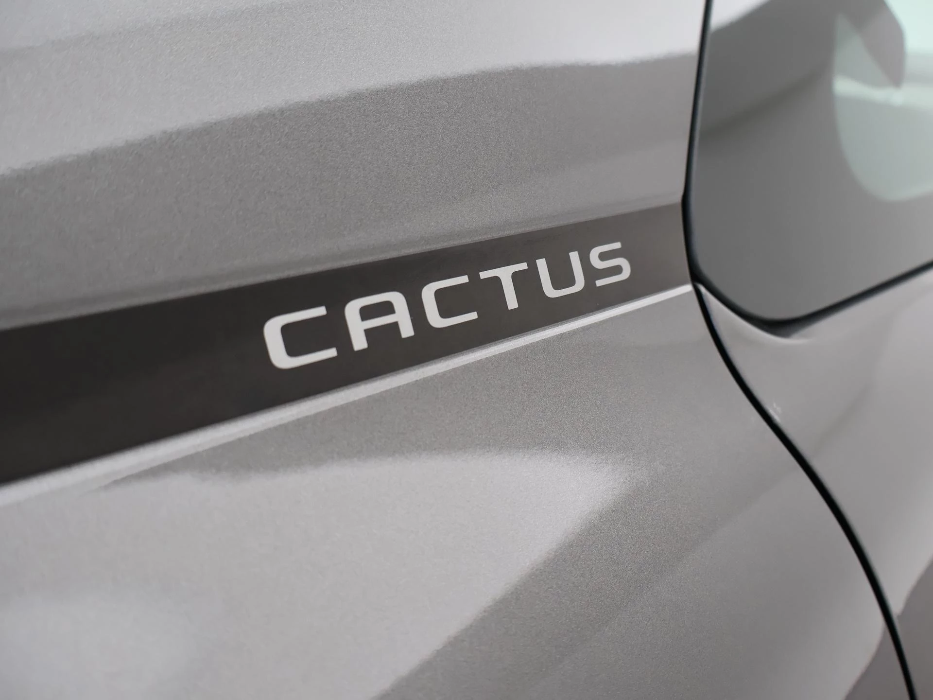 Hoofdafbeelding Citroën C4 Cactus