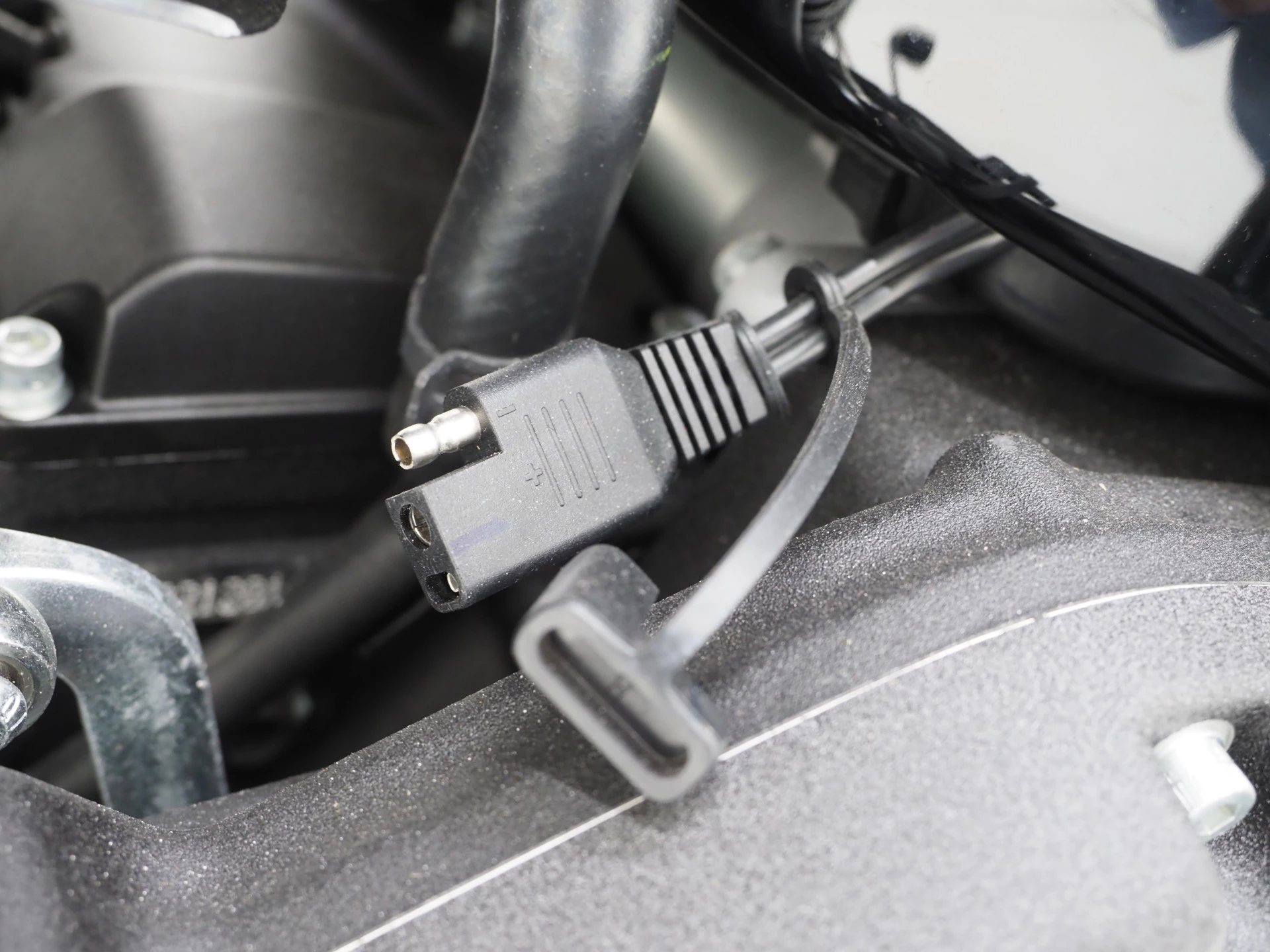 Hoofdafbeelding Harley-Davidson Softail