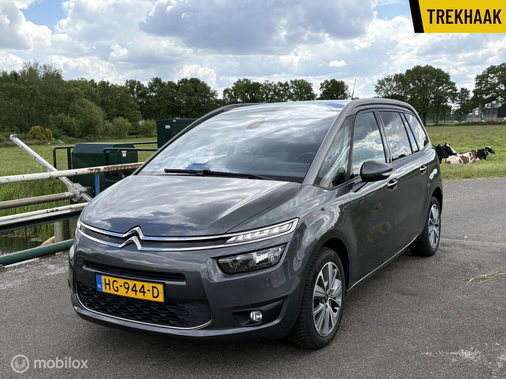 Hoofdafbeelding Citroën Grand C4 Picasso