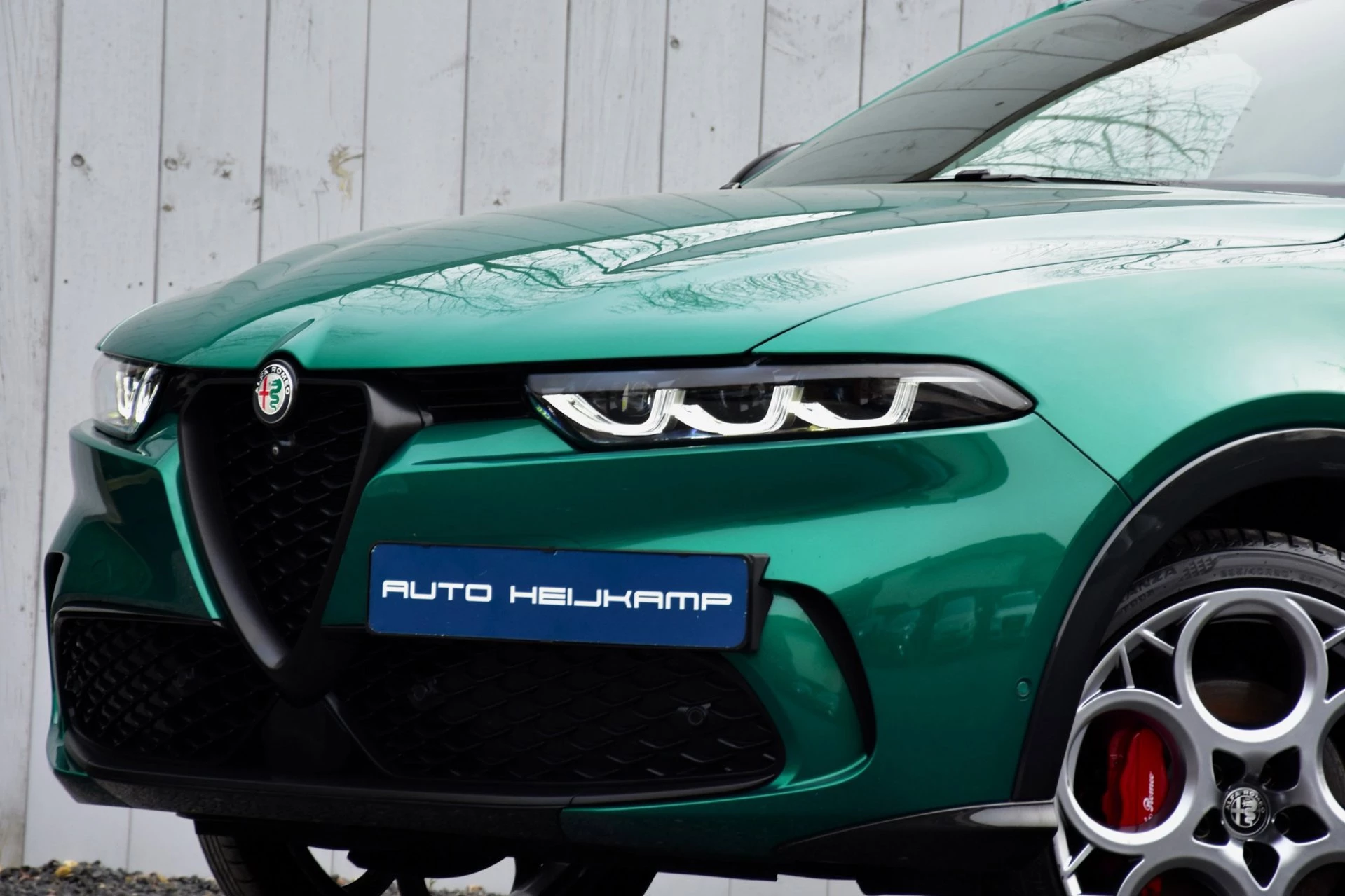 Hoofdafbeelding Alfa Romeo Tonale