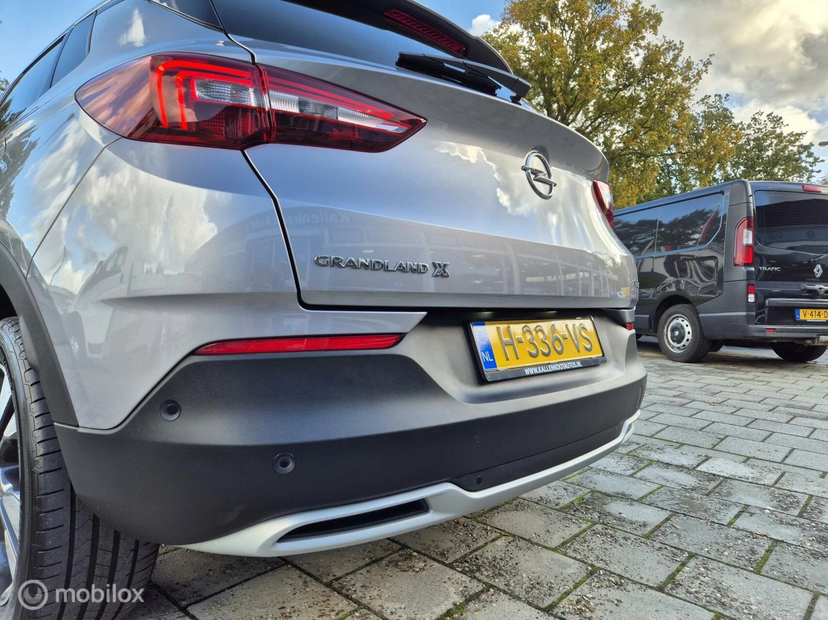 Hoofdafbeelding Opel Grandland X