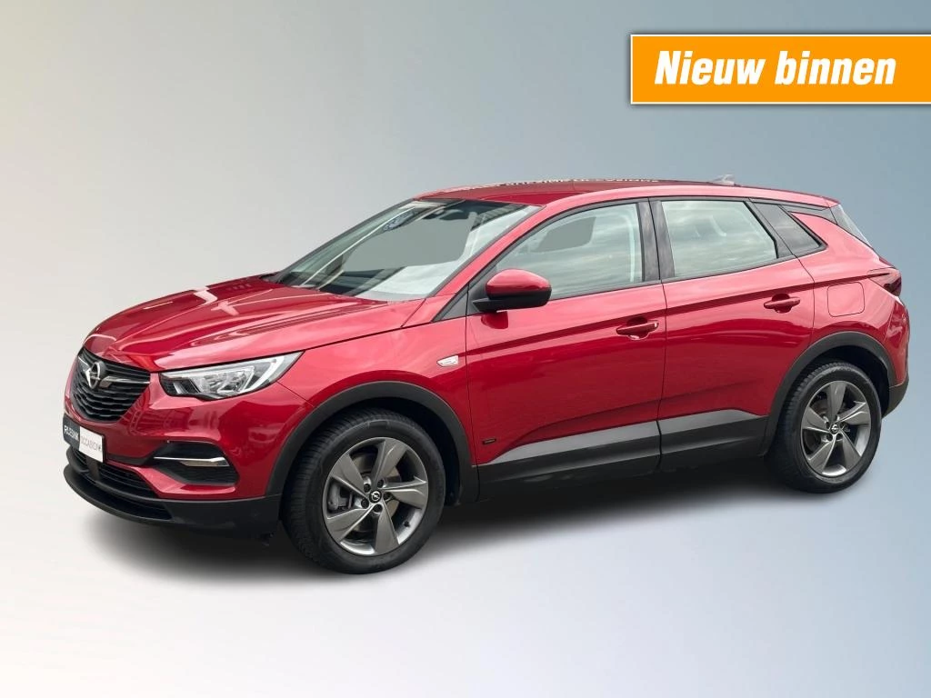 Hoofdafbeelding Opel Grandland X