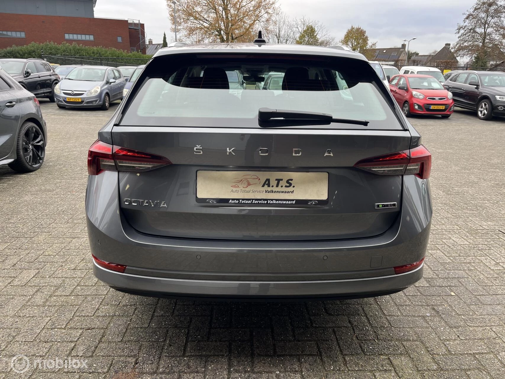 Hoofdafbeelding Škoda Octavia