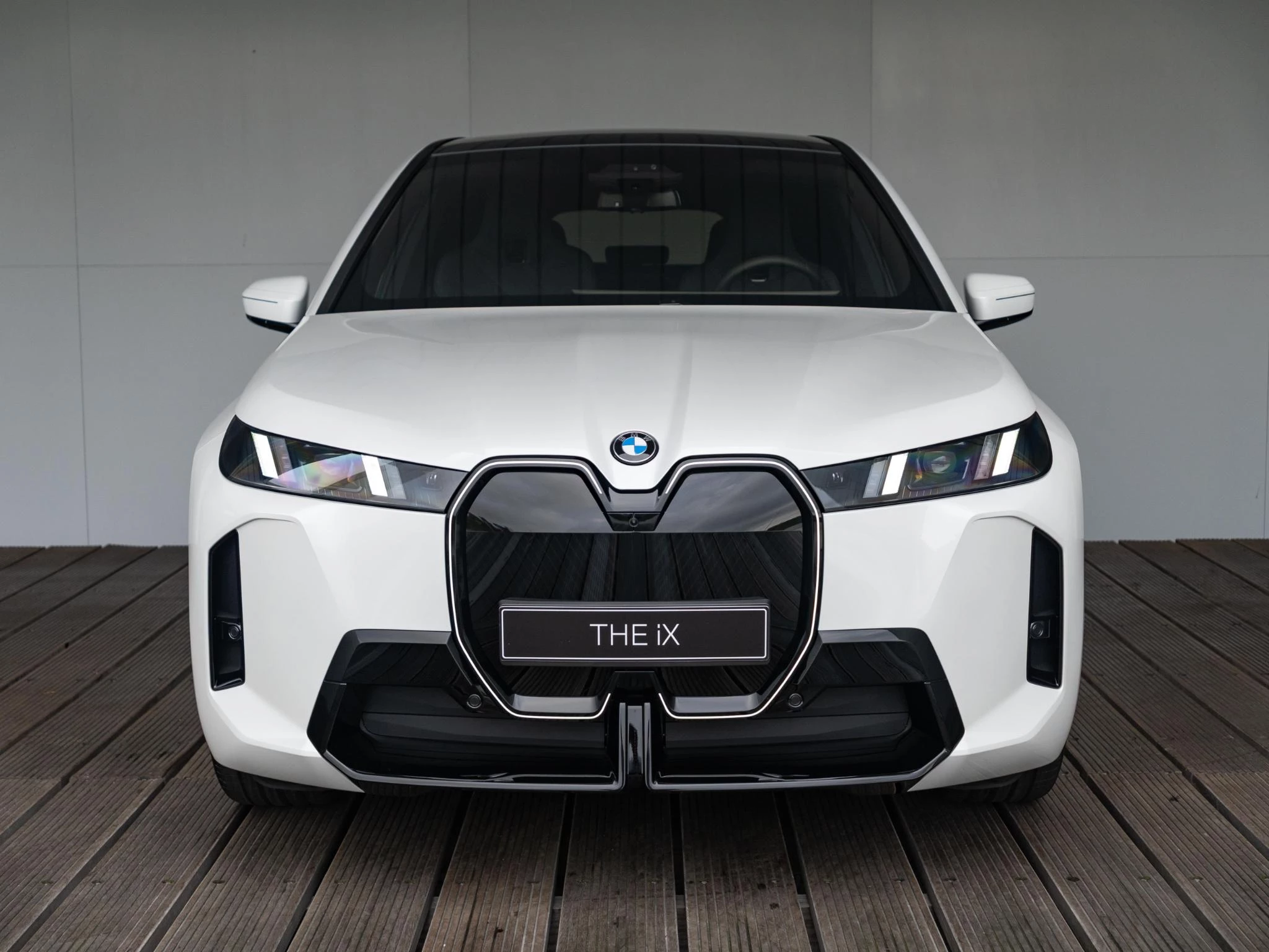 Hoofdafbeelding BMW iX