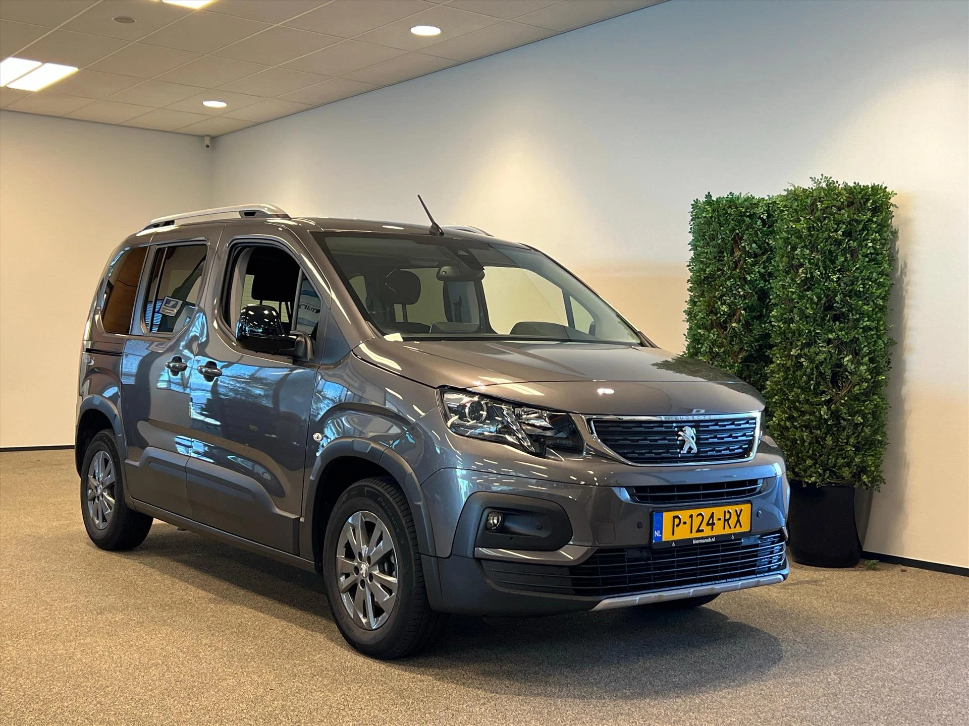 Hoofdafbeelding Peugeot Rifter