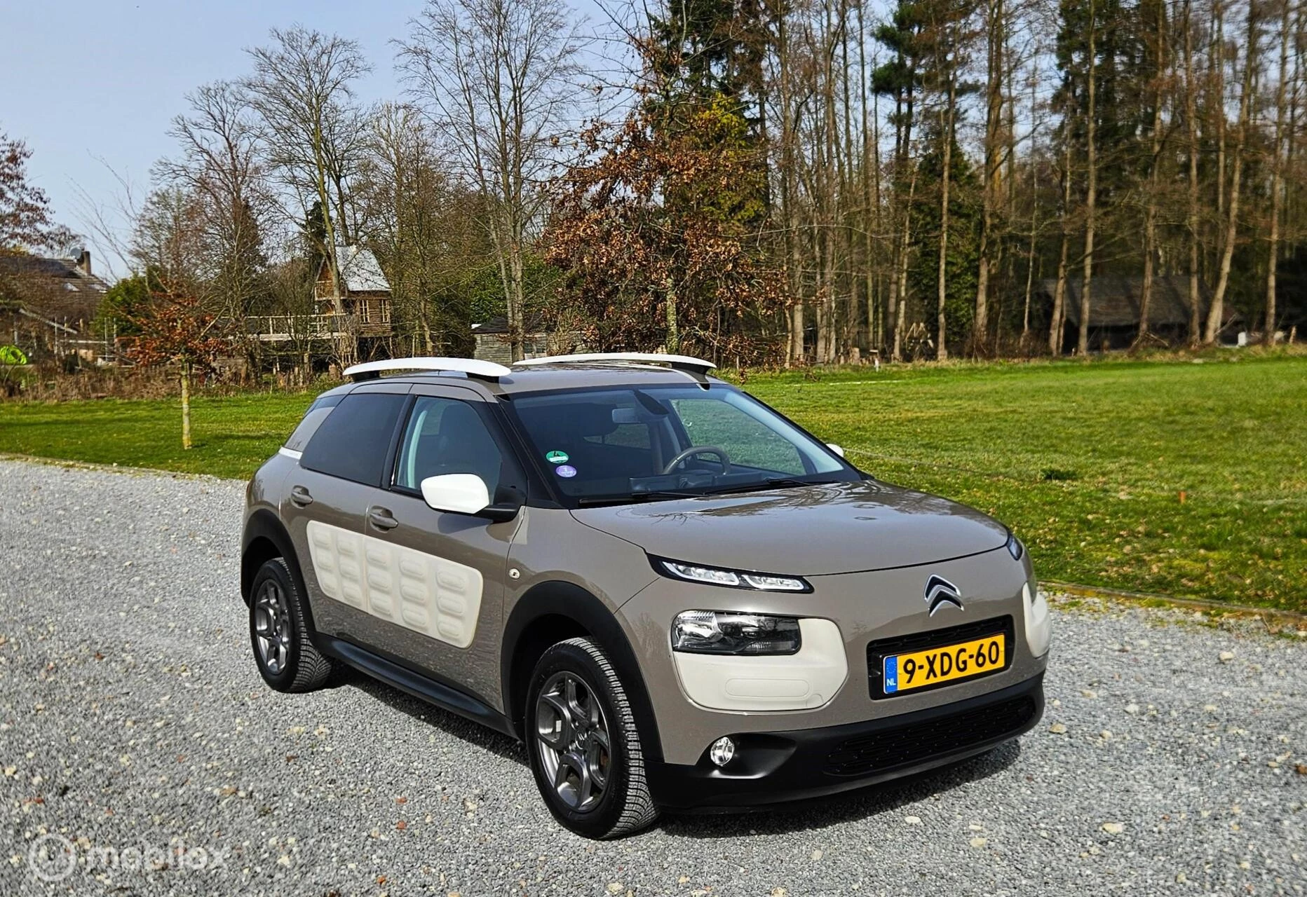 Hoofdafbeelding Citroën C4 Cactus