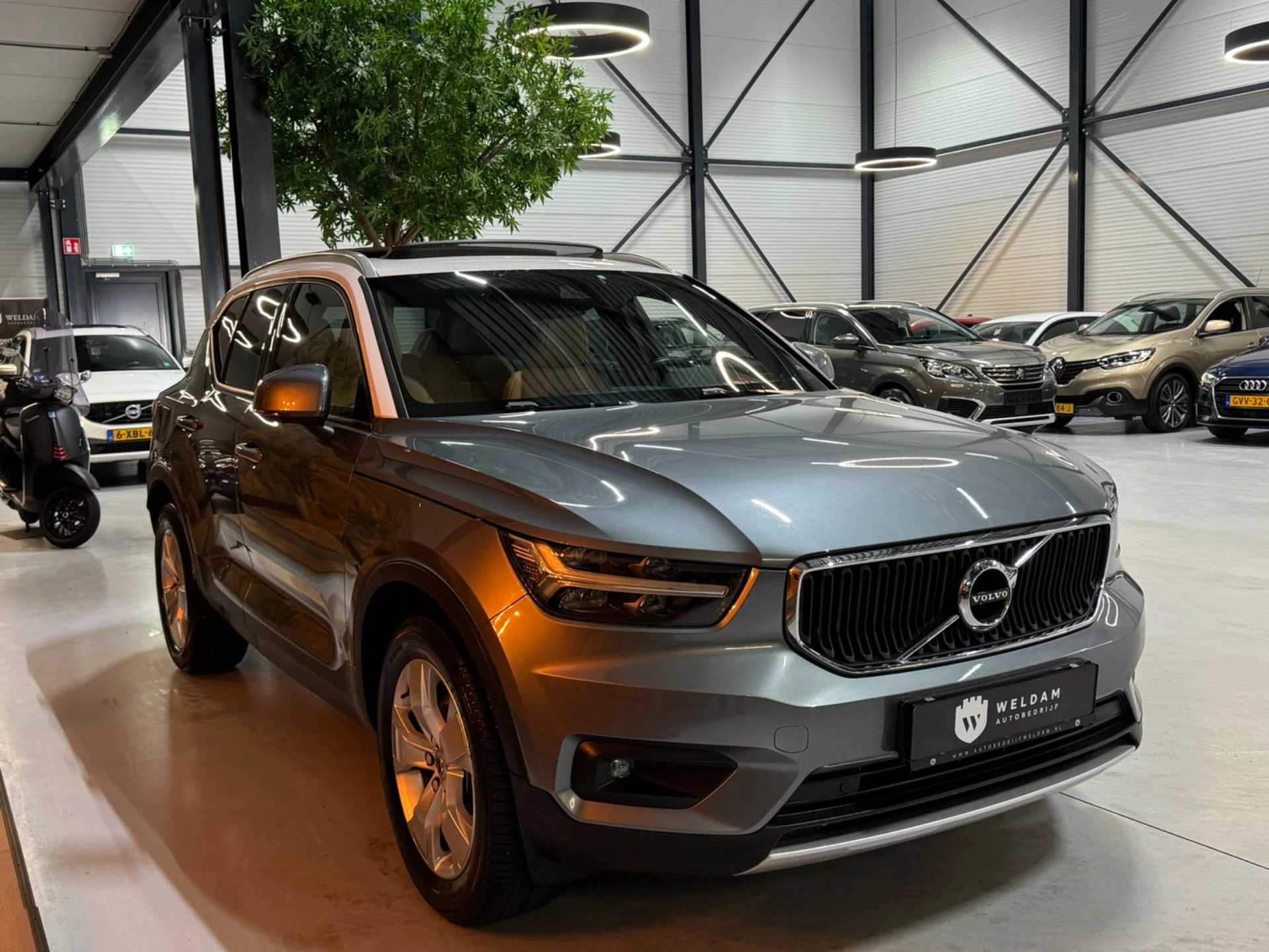 Hoofdafbeelding Volvo XC40