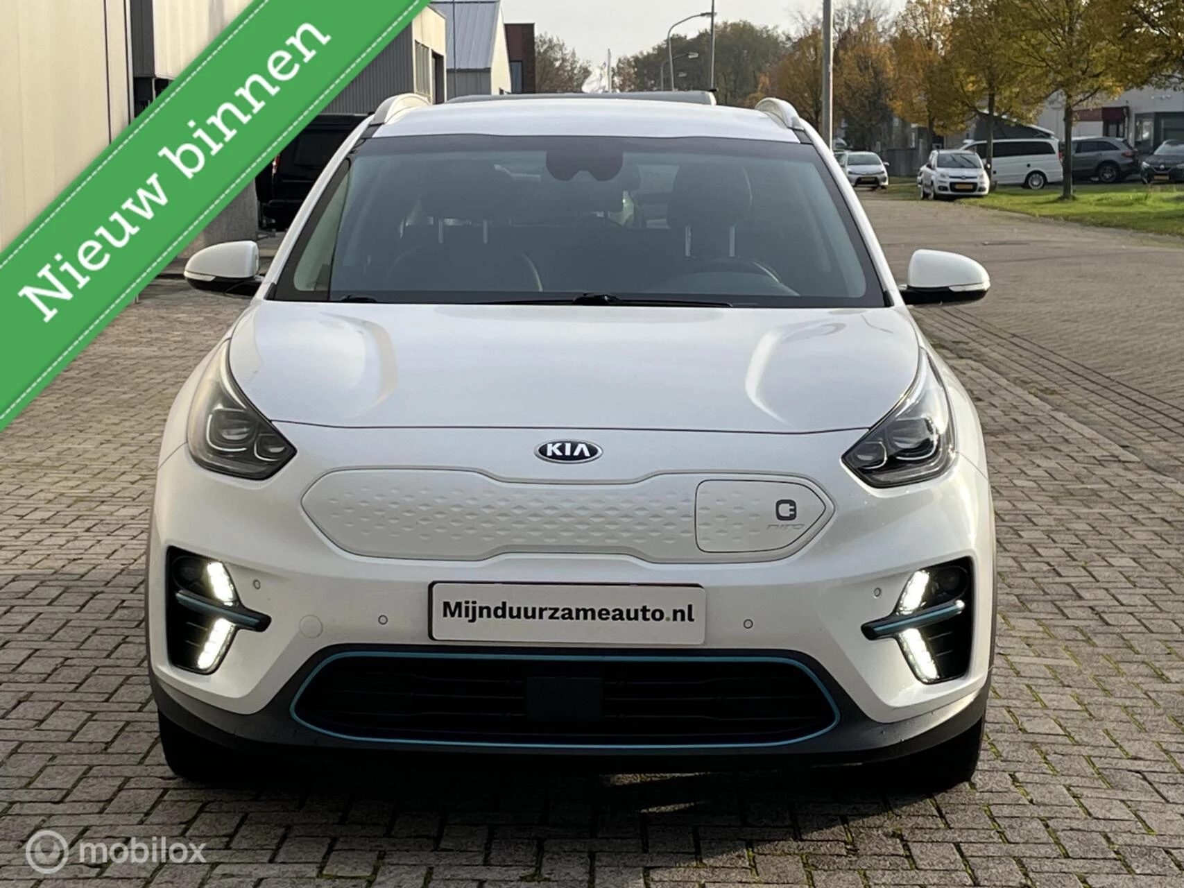 Hoofdafbeelding Kia e-Niro