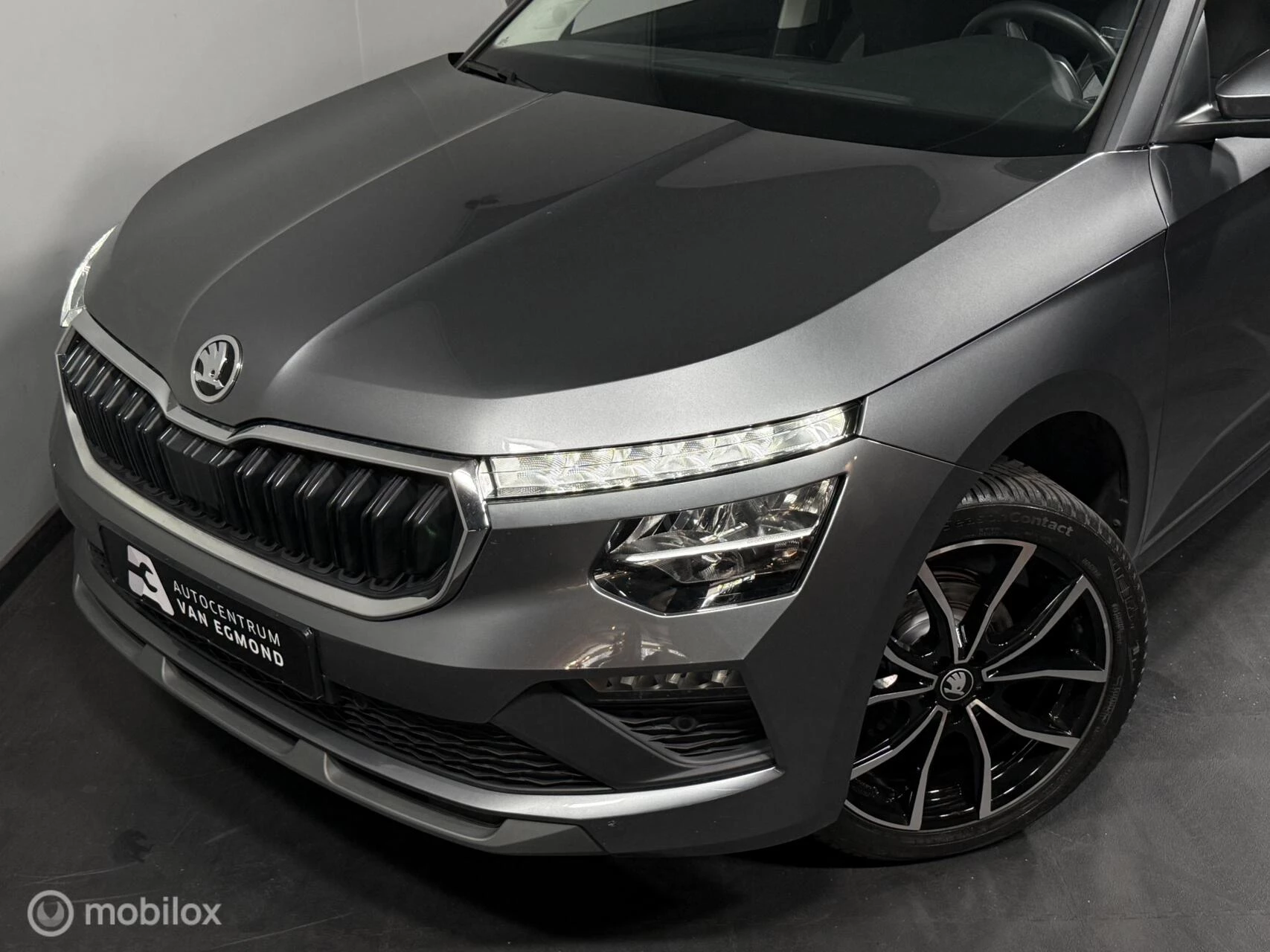 Hoofdafbeelding Škoda Kamiq