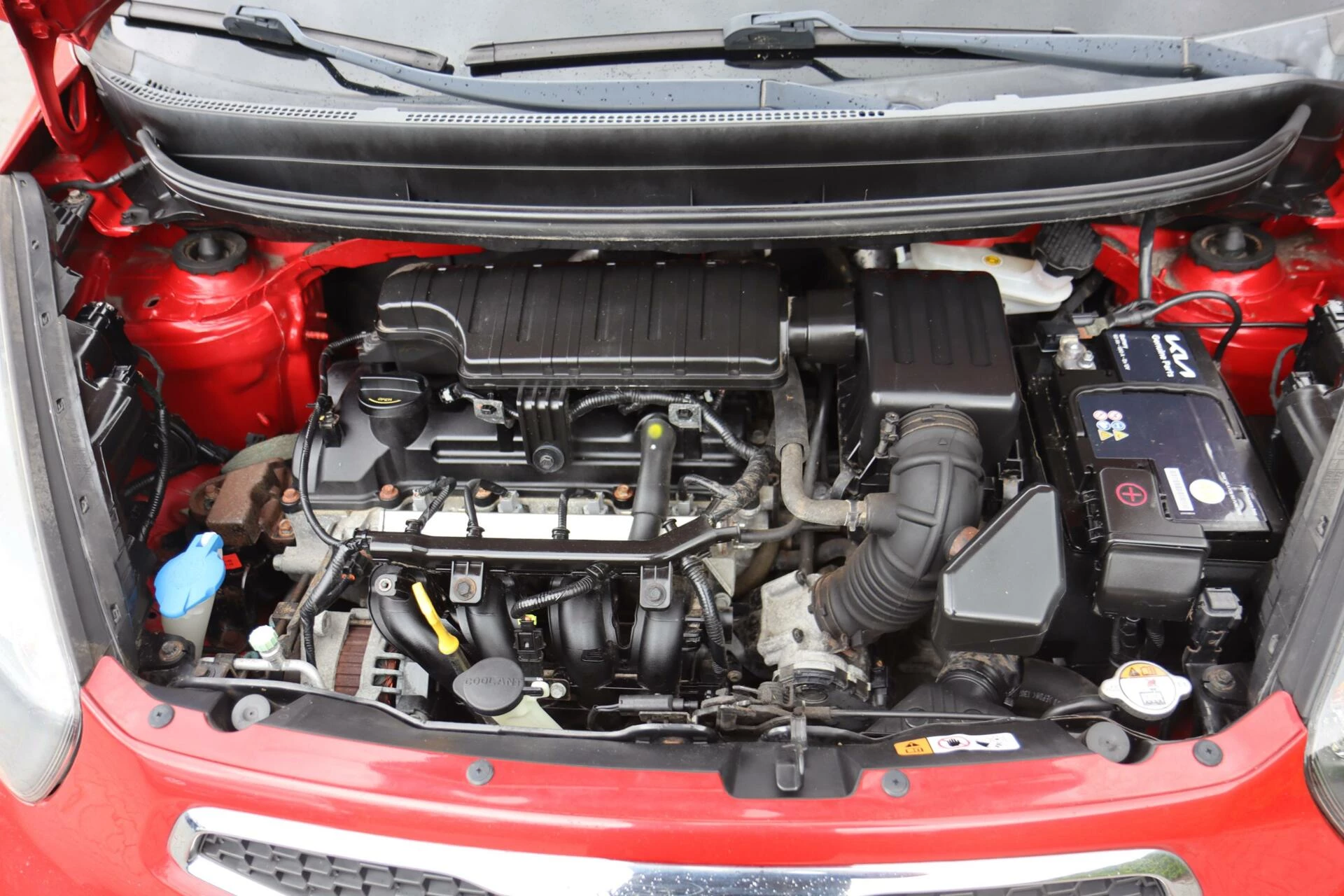 Hoofdafbeelding Kia Picanto