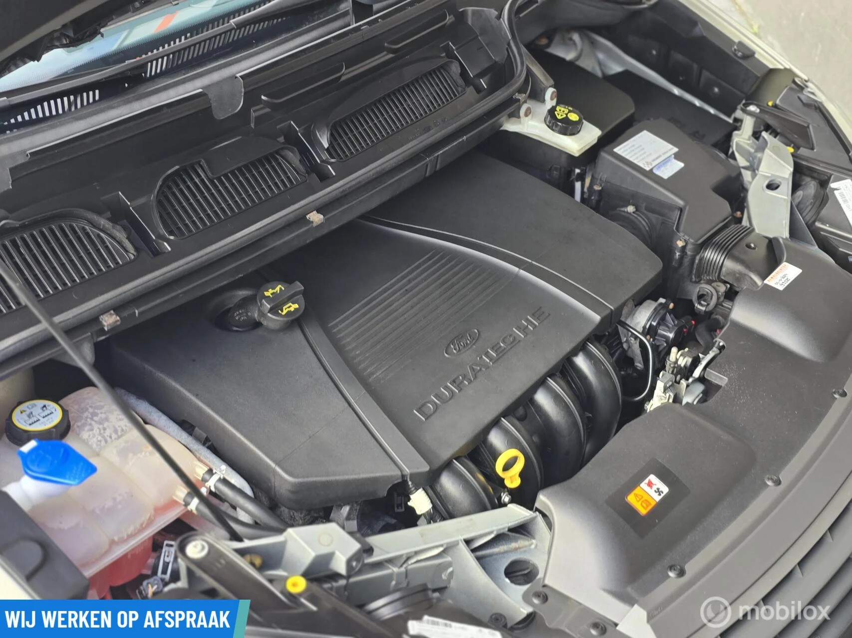 Hoofdafbeelding Ford C-MAX