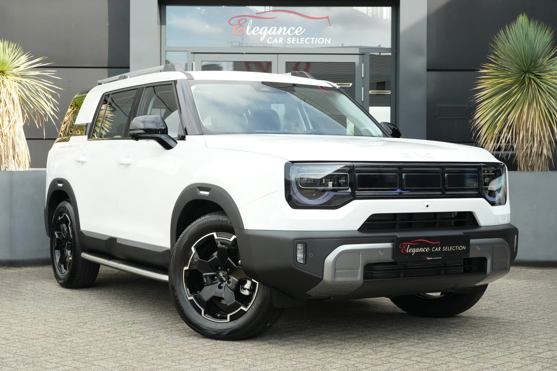 Hoofdafbeelding BAIC BJ30e