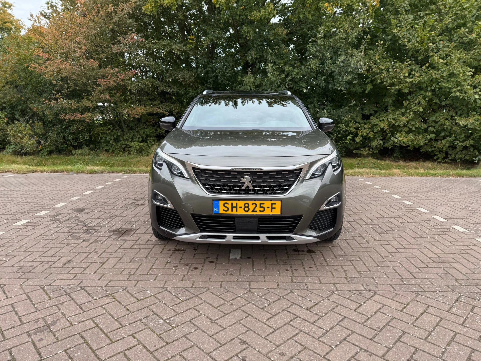 Hoofdafbeelding Peugeot 5008