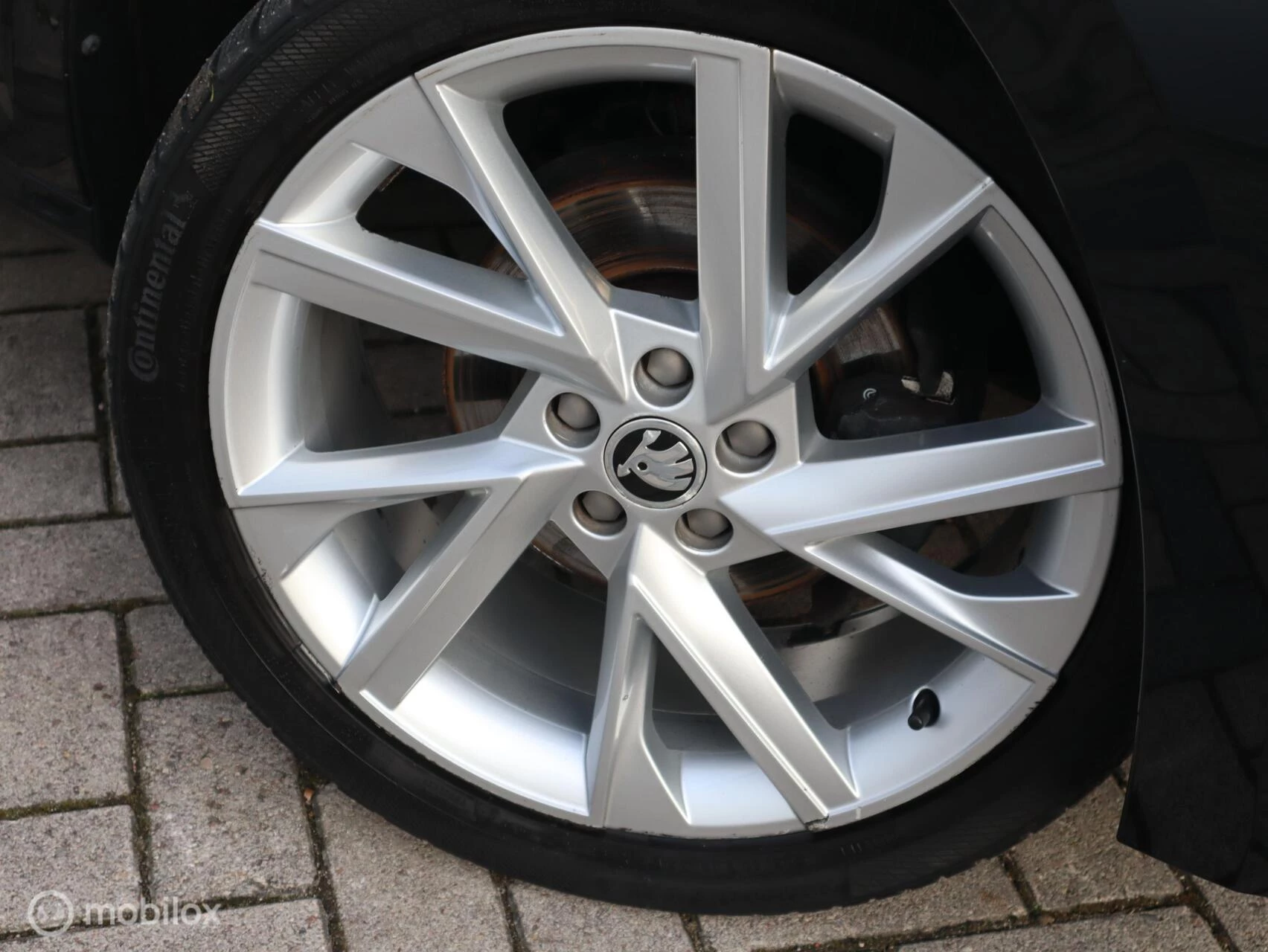 Hoofdafbeelding Škoda Kamiq