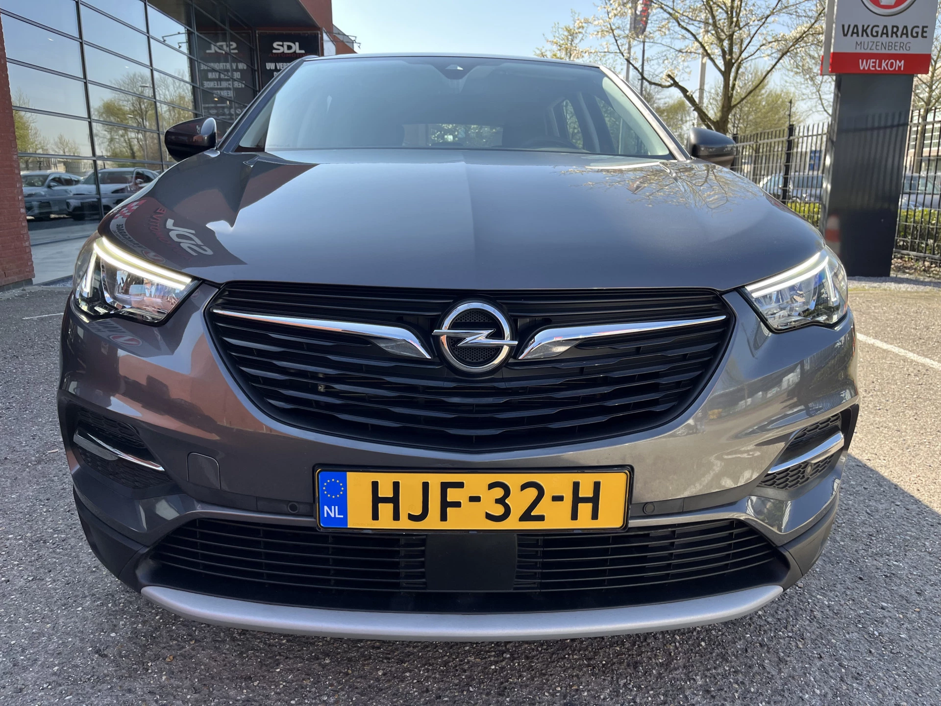 Hoofdafbeelding Opel Grandland X