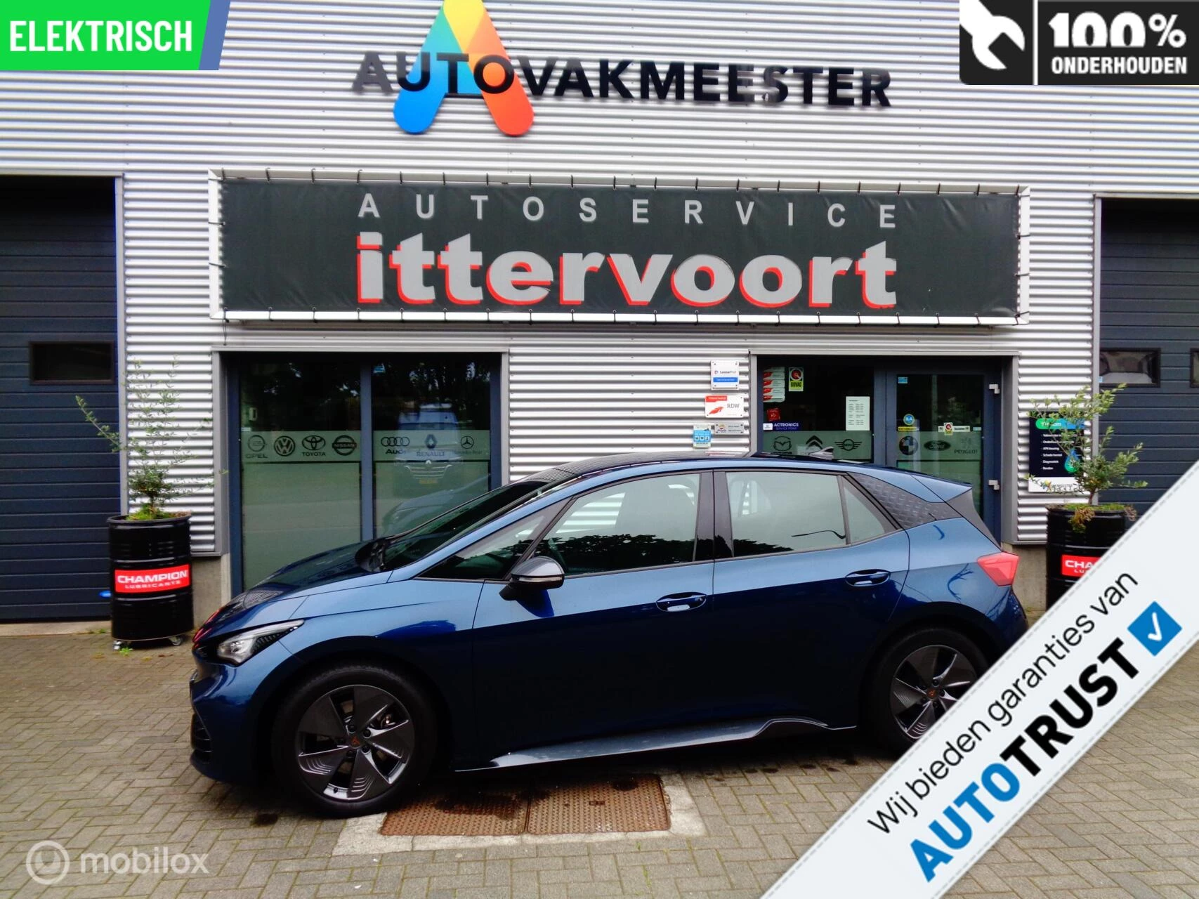 Hoofdafbeelding CUPRA Born