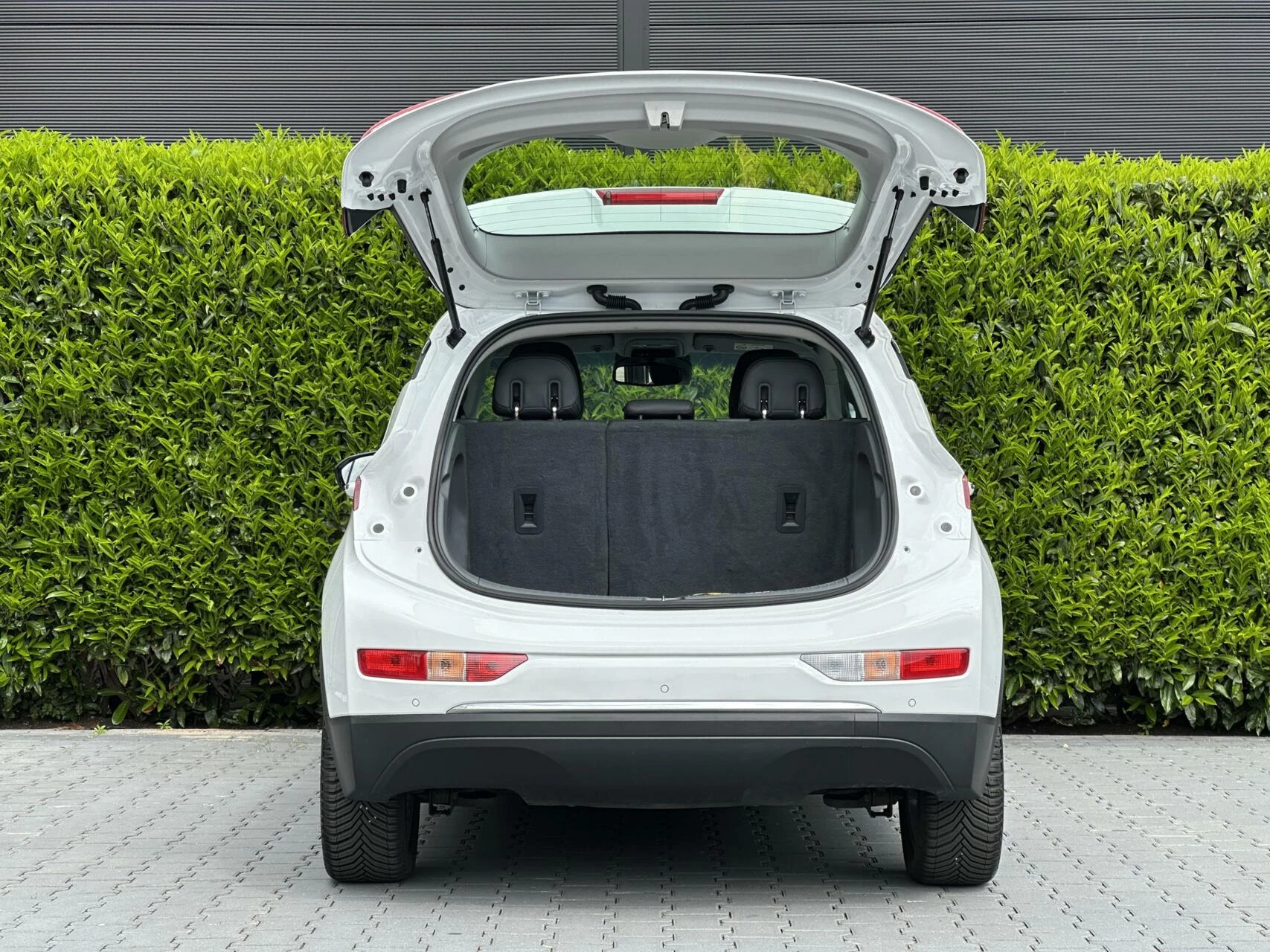 Hoofdafbeelding Opel Ampera-e