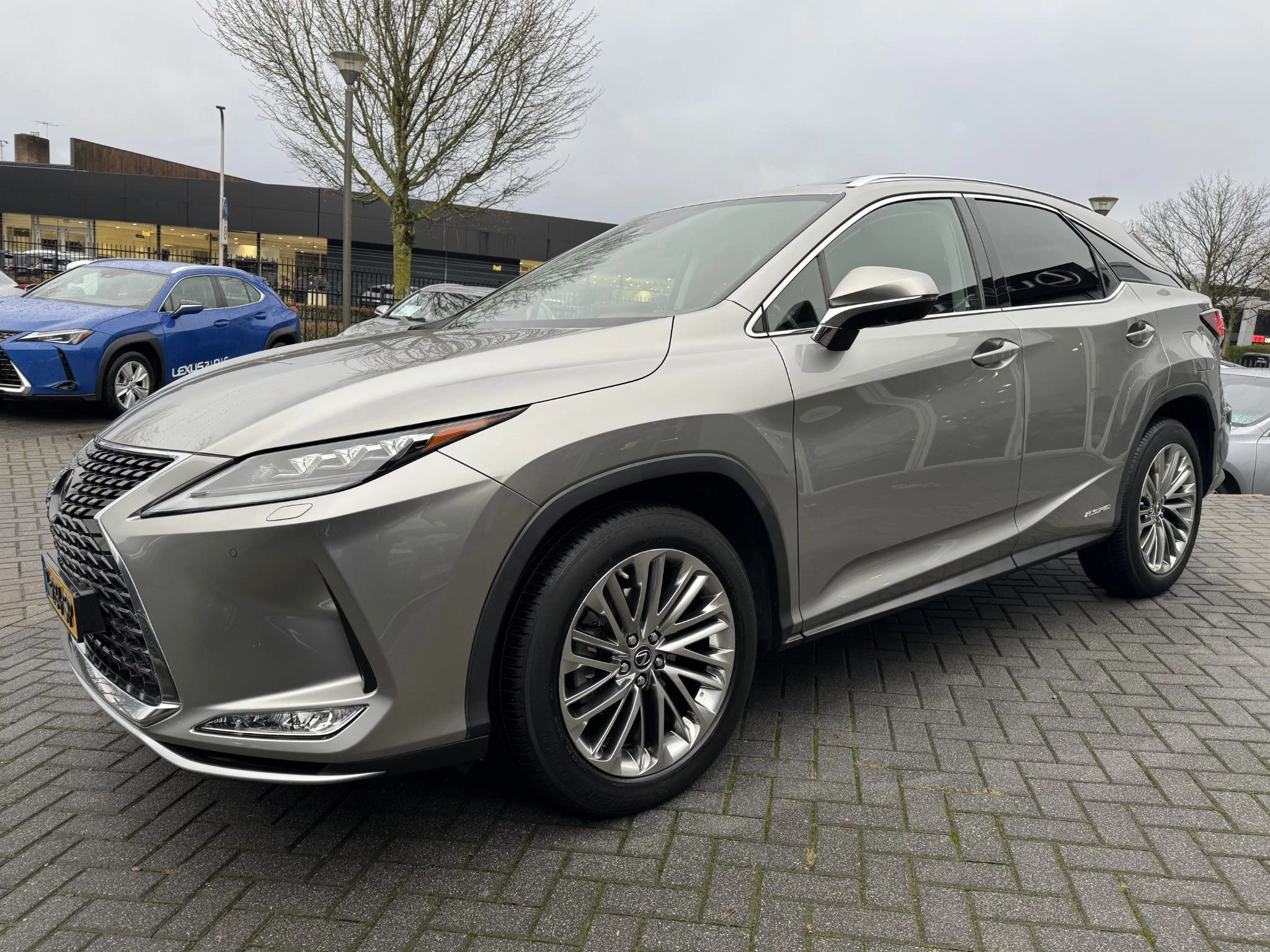 Hoofdafbeelding Lexus RX