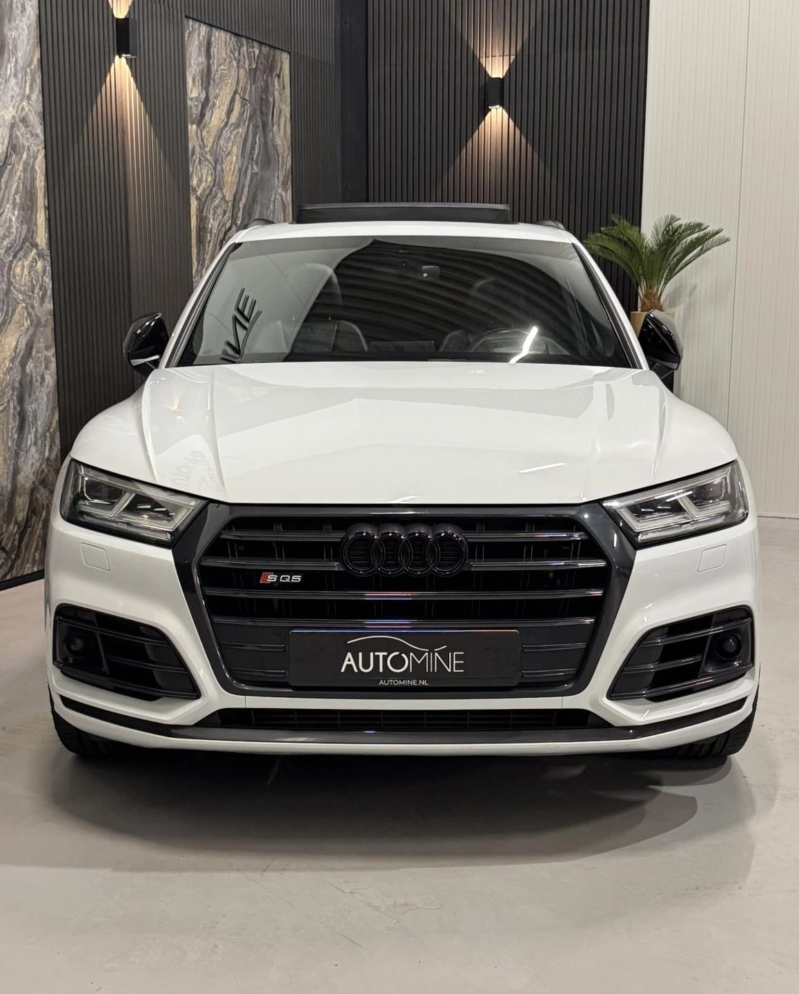 Hoofdafbeelding Audi SQ5