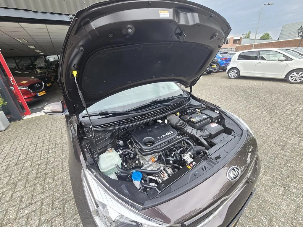Hoofdafbeelding Kia Rio