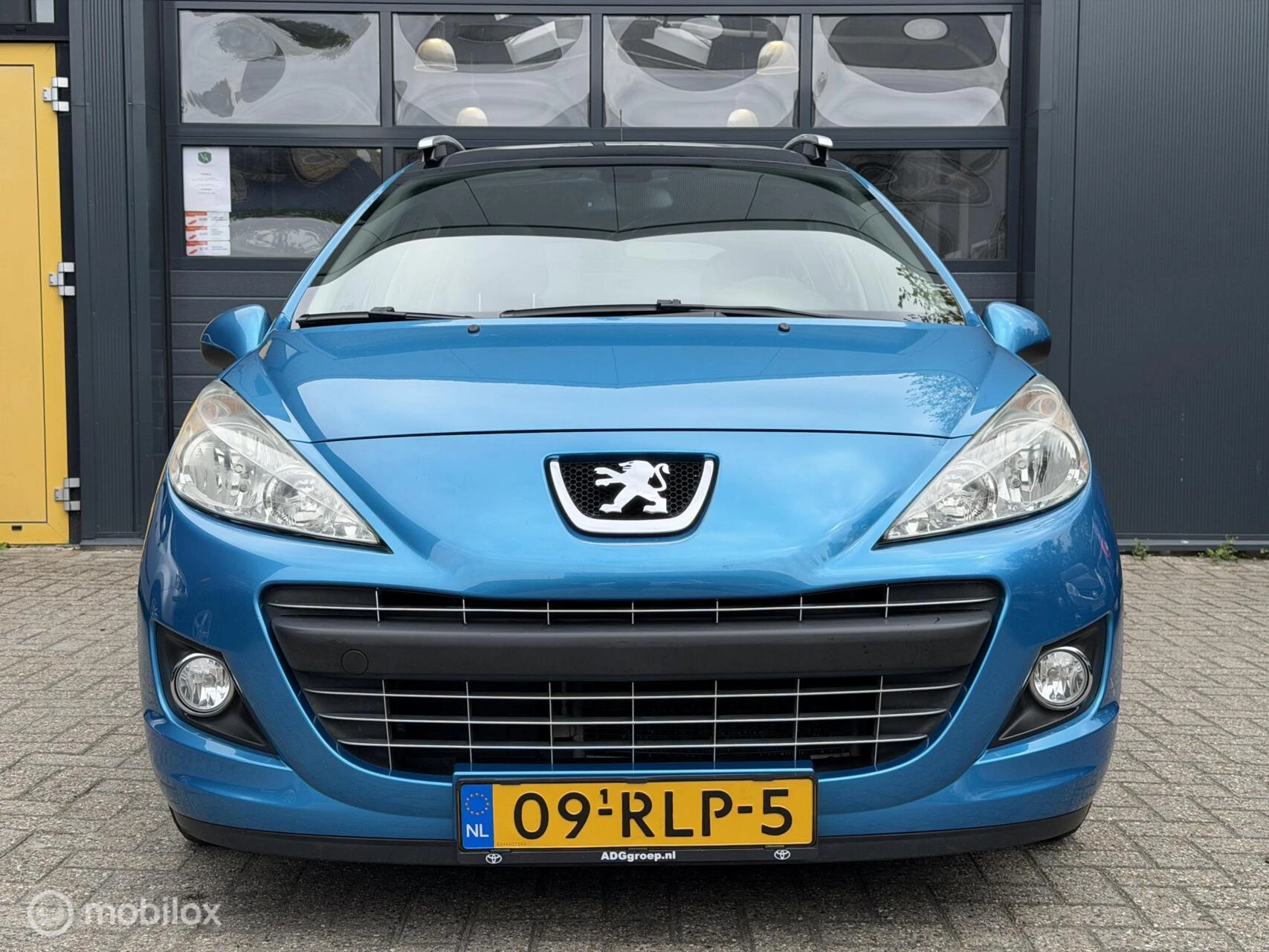 Hoofdafbeelding Peugeot 207