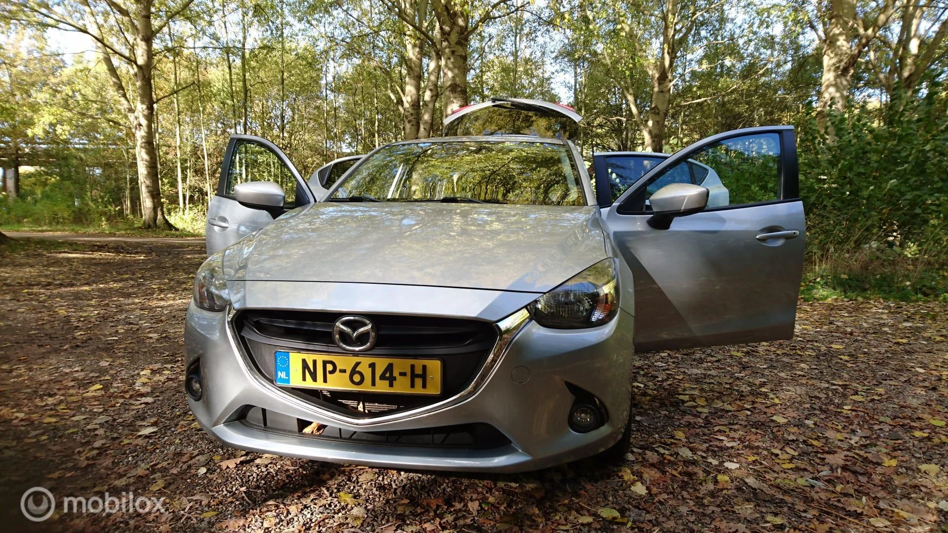 Hoofdafbeelding Mazda 2